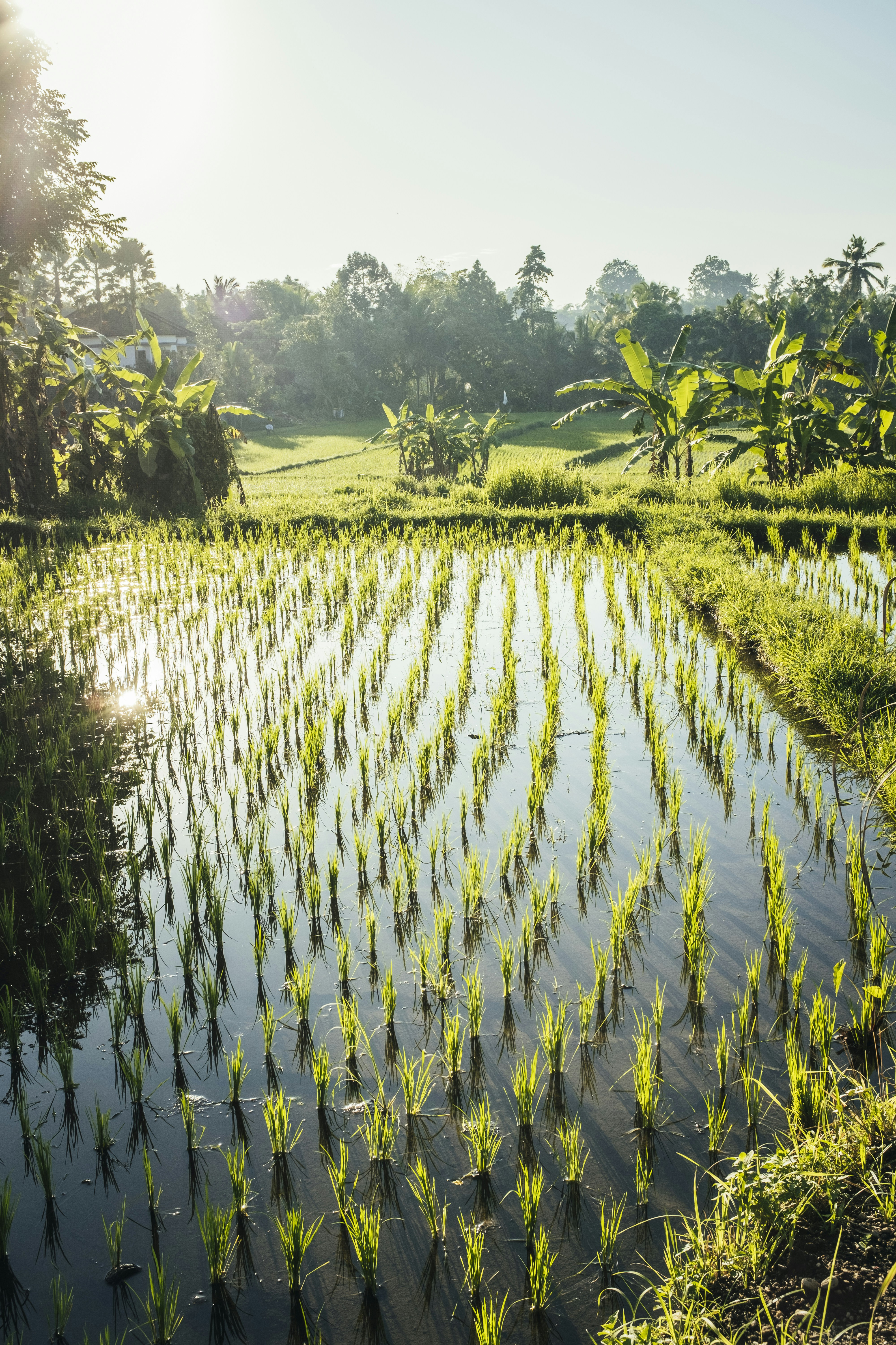 Photo by bernardhermant