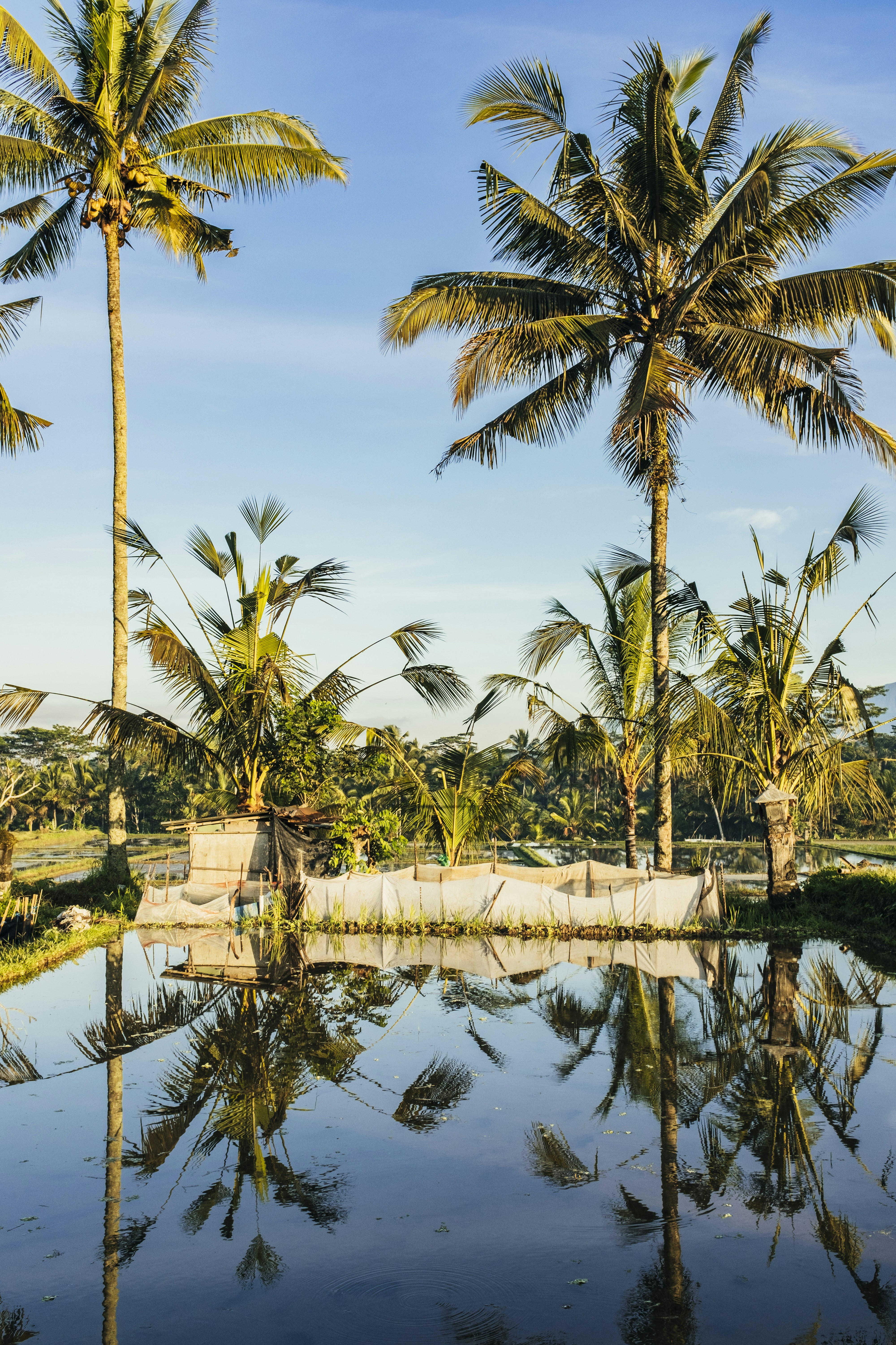 Photo by bernardhermant