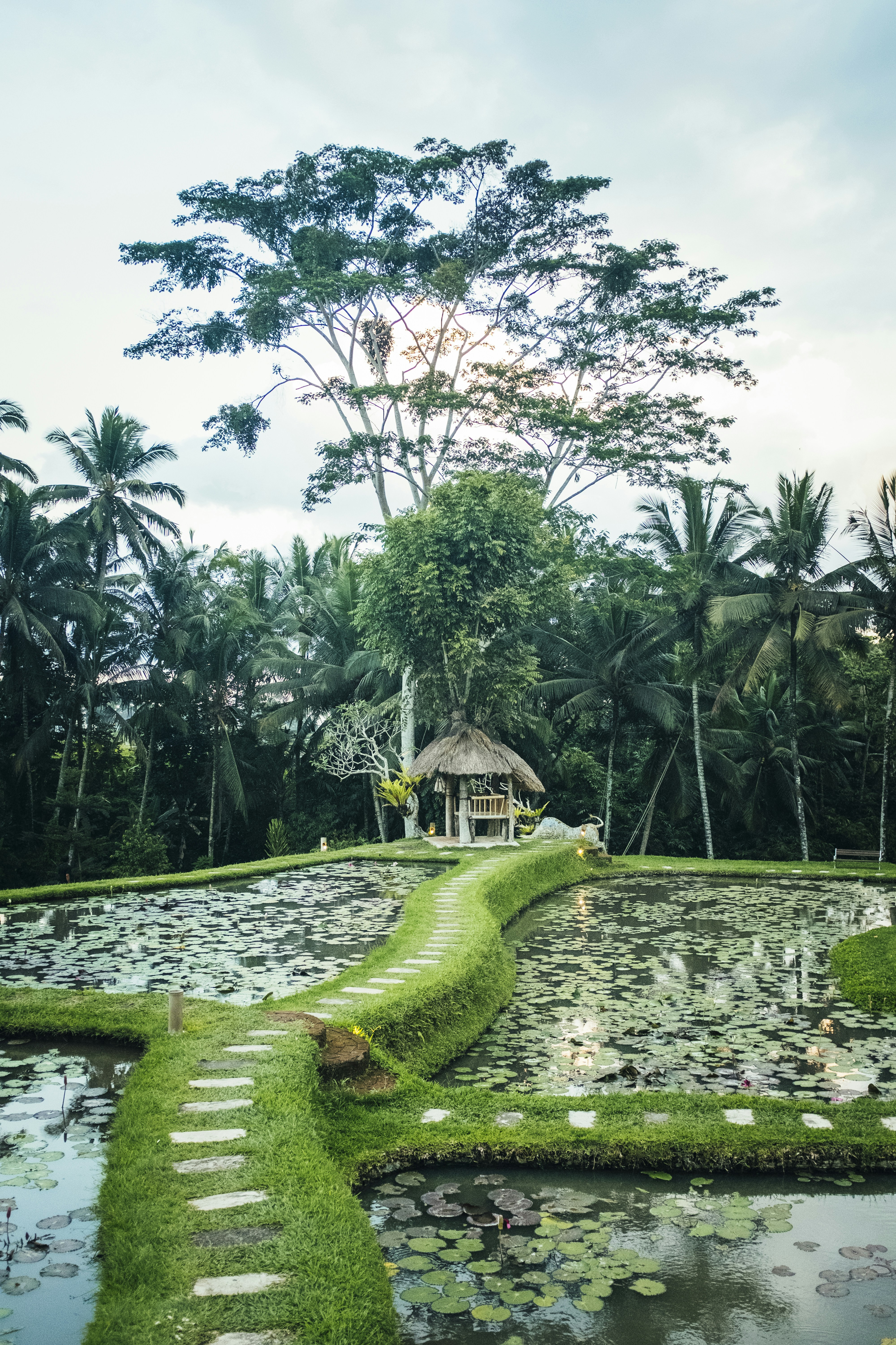 Photo by bernardhermant