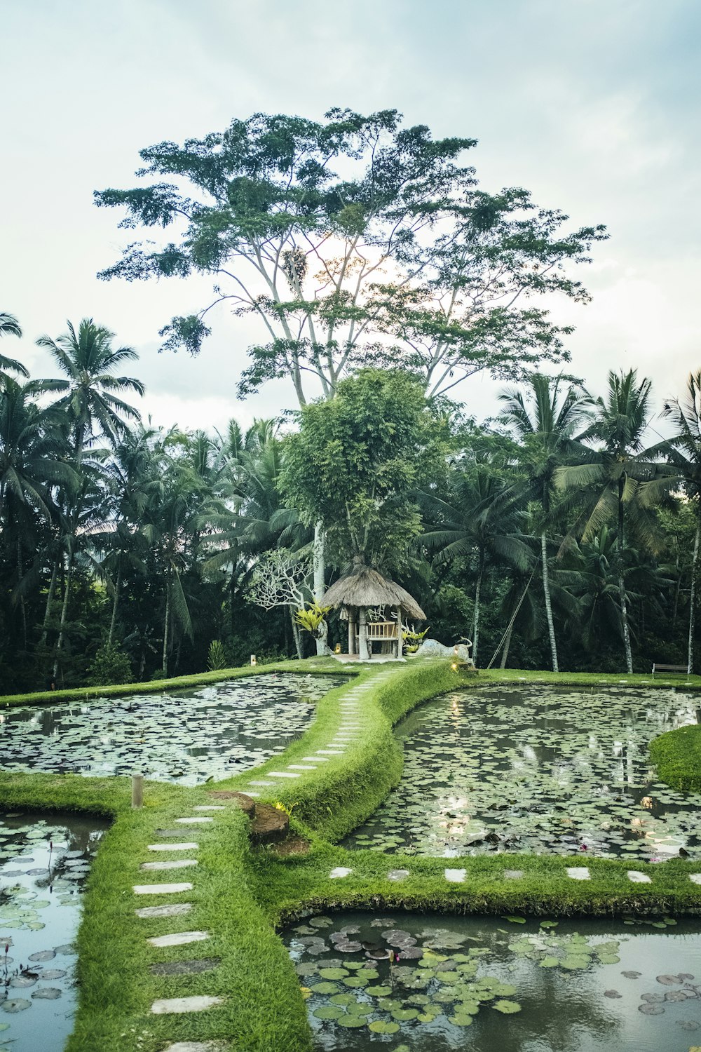 a pond with a gazebo in the middle of it