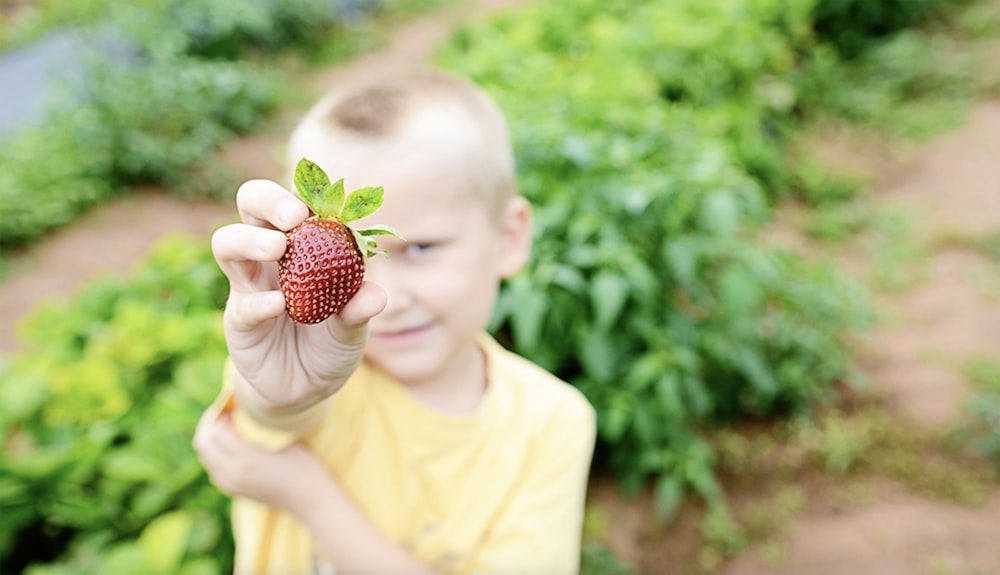 a young boy holding a strawberry in his hand
