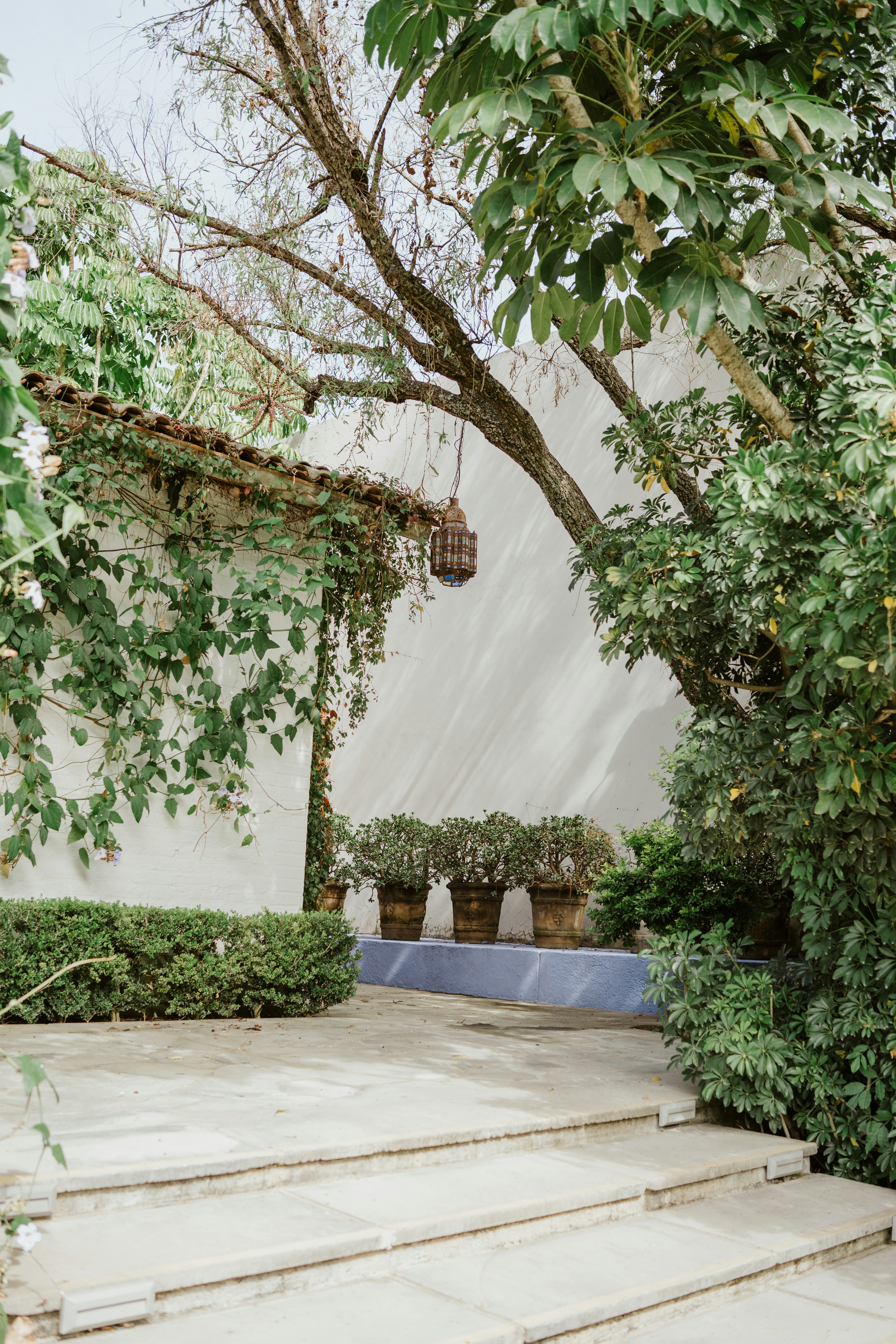 Photo by brunocervera