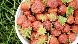 Freeze-Dried Strawberries