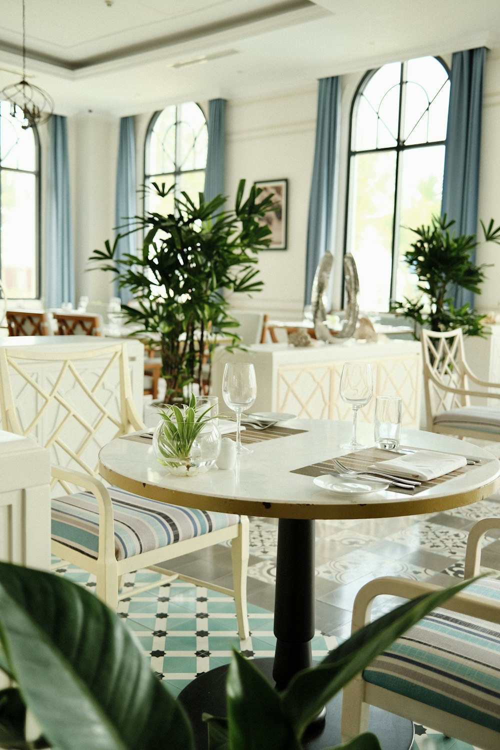 a dining room with a table and chairs and a potted plant