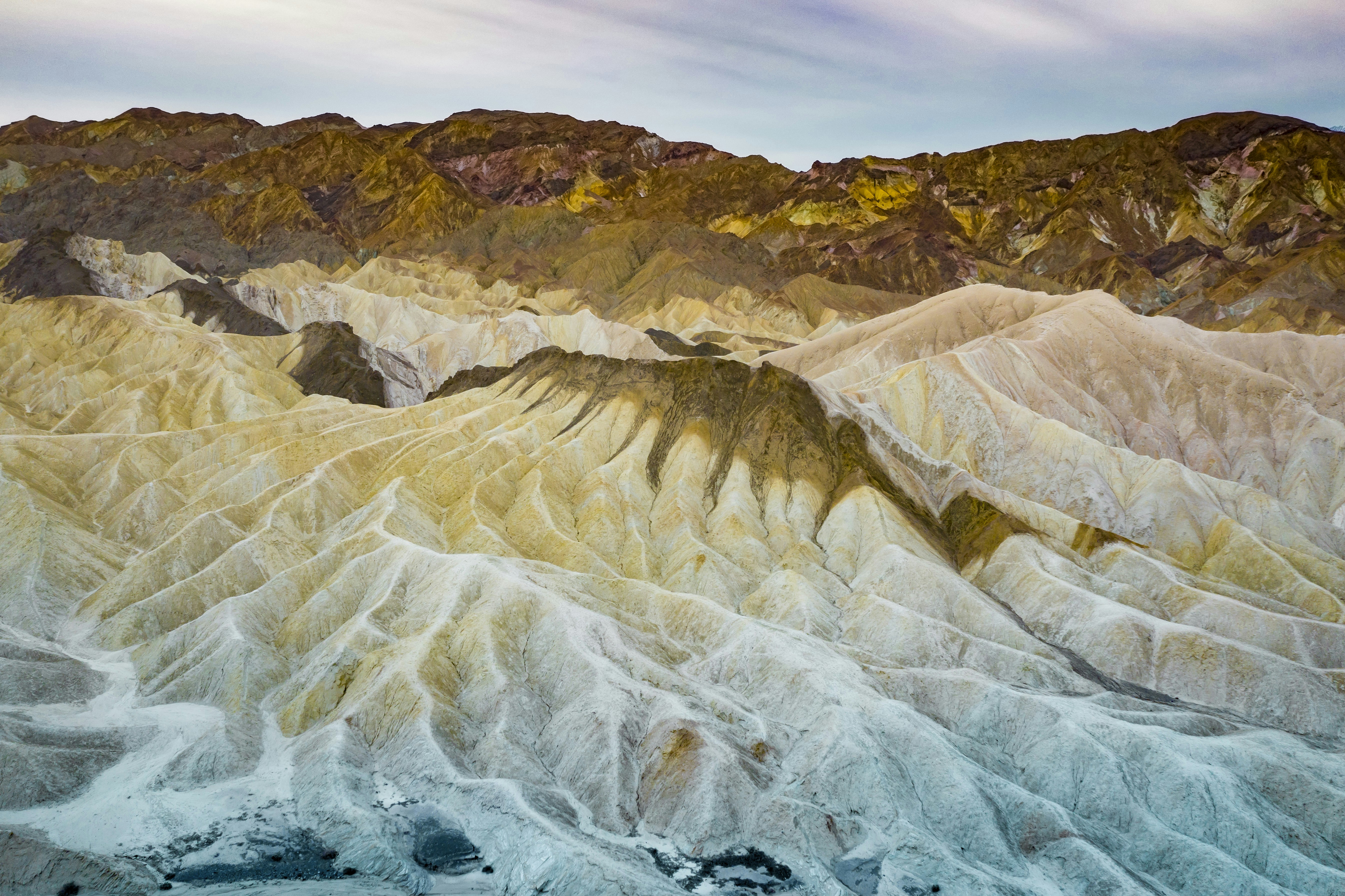 Photo by leo_visions_