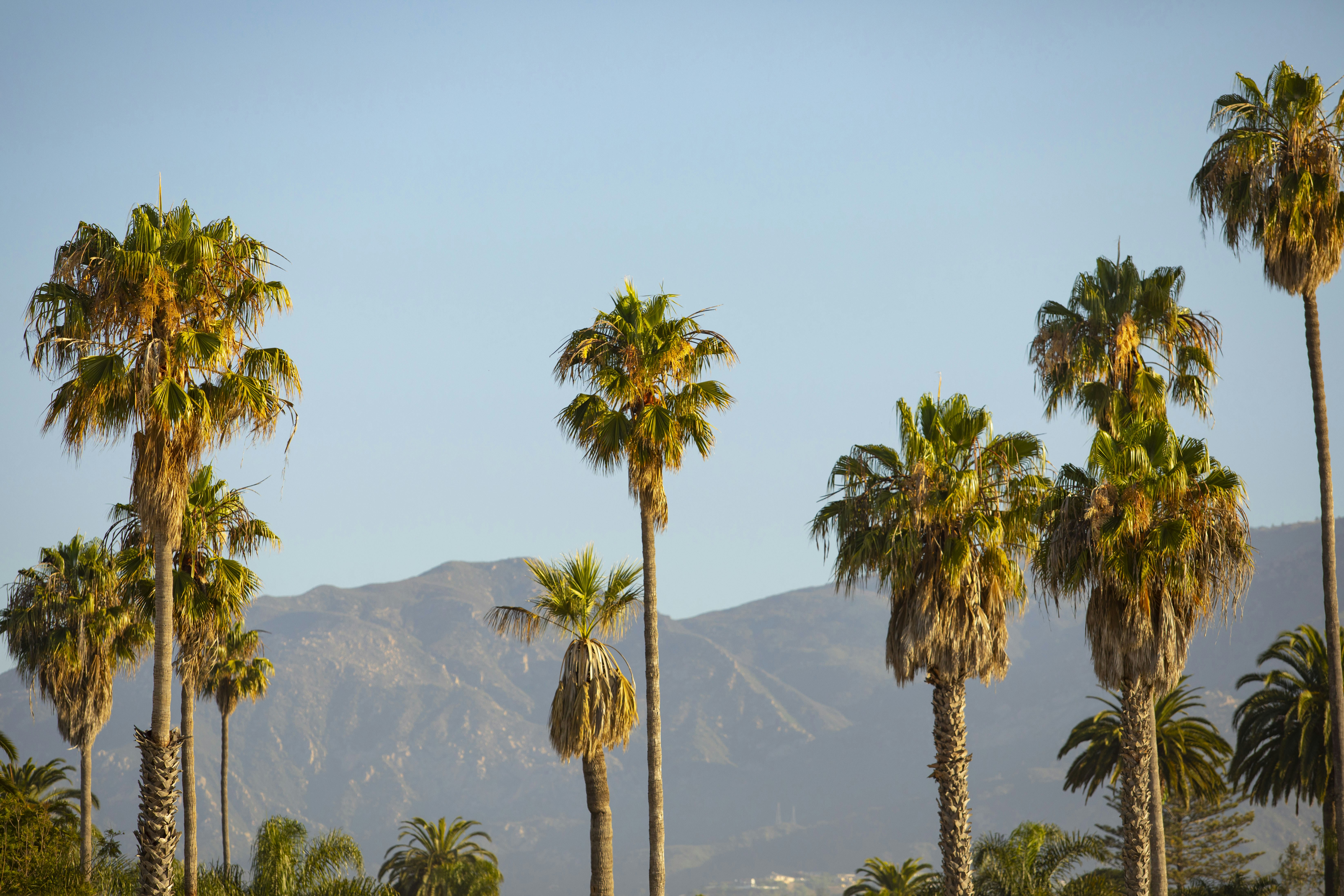 Photo by leo_visions_