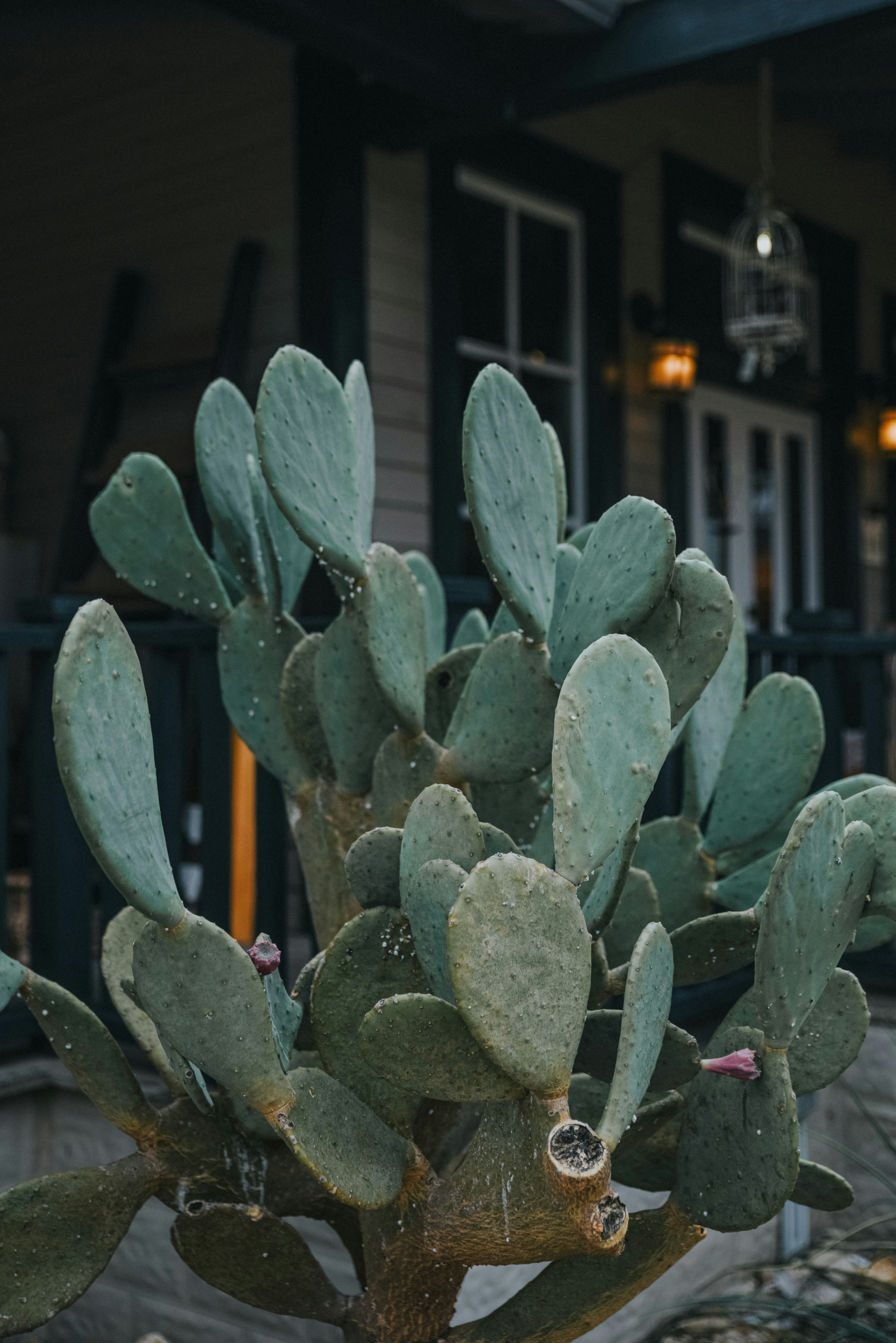 Photo by anitaaustvika