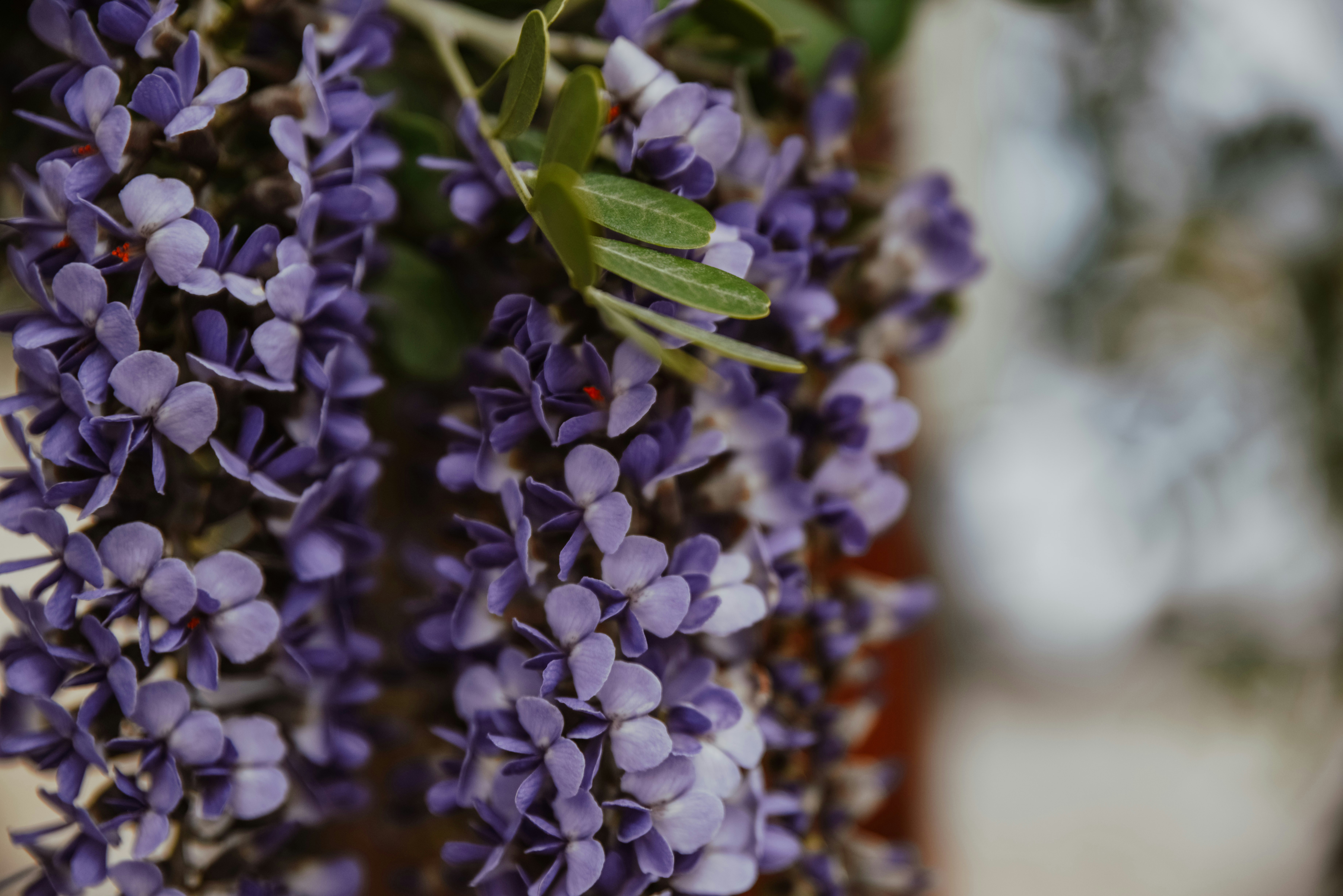 Photo by anitaaustvika