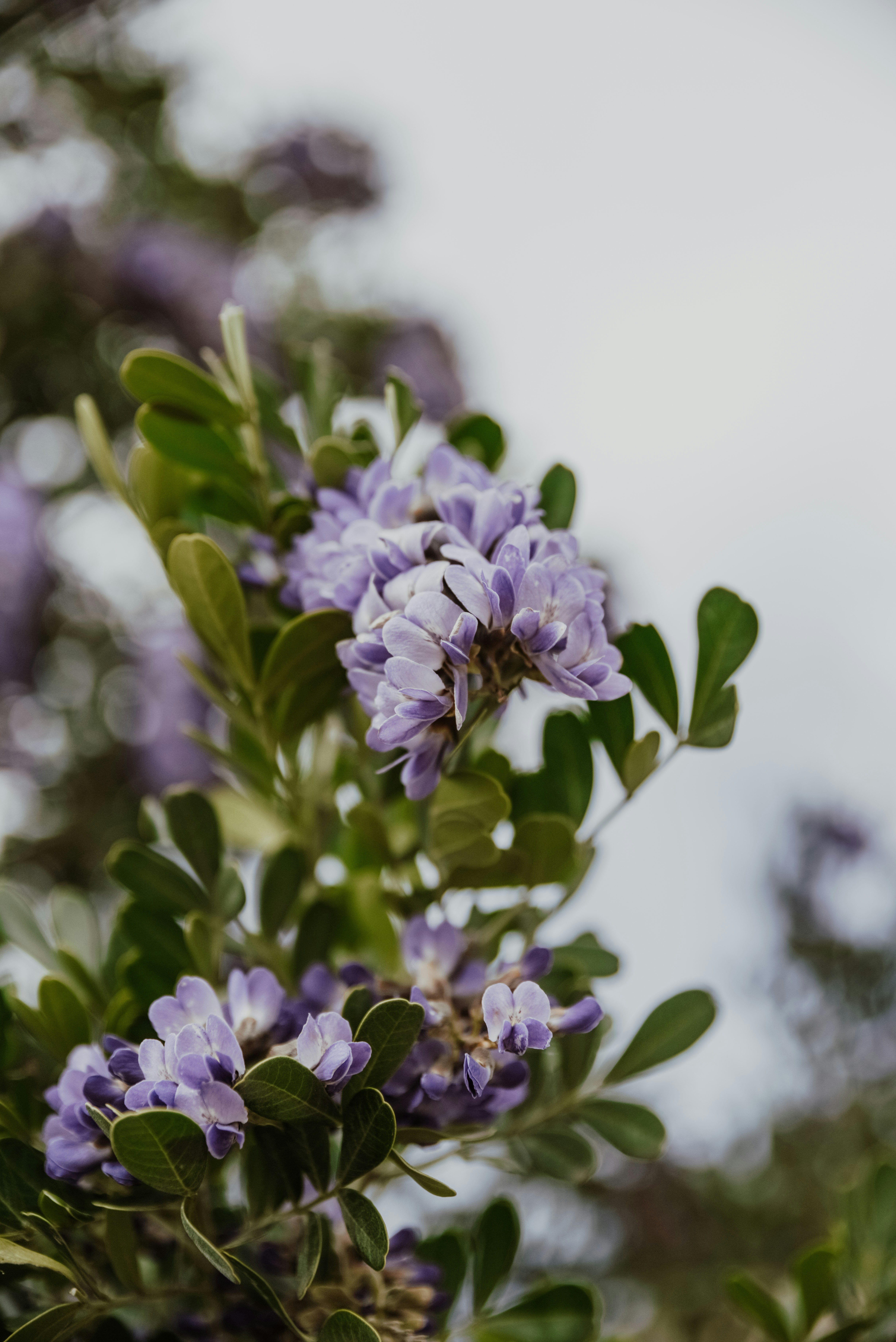 Photo by anitaaustvika