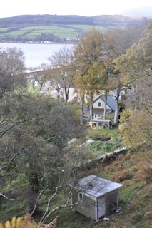 A small cottage surrounded by autumn trees rests on a hillside overlooking a body of water. The landscape features rolling hills in the background, with a mixture of bare and leaf-covered trees in the foreground. The scene is tranquil and secluded, with a smaller shed structure nearby.