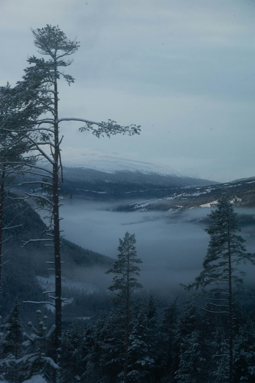 a view of a mountain covered in fog