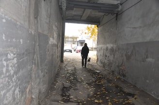 A person is walking a dog through a narrow, dimly lit passageway with concrete walls. Fallen leaves are scattered on the ground, and the passageway leads to an open area with parked cars and buildings visible in the distance.