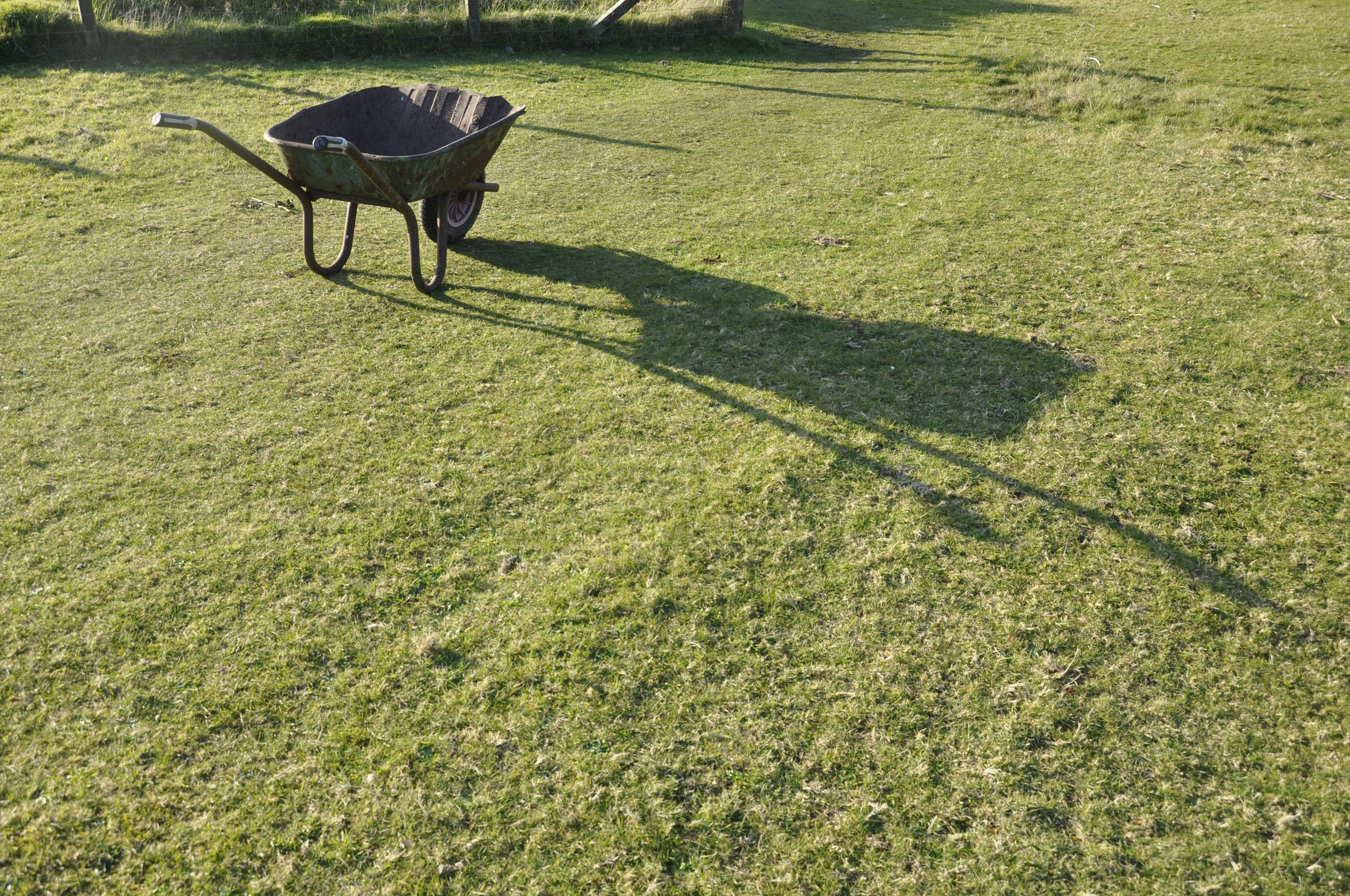 Wheelbarrow in field