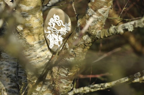 A tree trunk with a texture of rough bark is shown with a wooden oval object embedded or placed in its branches. The oval object is decorated with intricate white carvings or patterns resembling swirling designs.