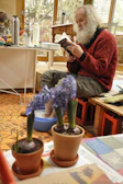 An elderly man reading a book about cannabis benefits in a sunlit room filled with plants.