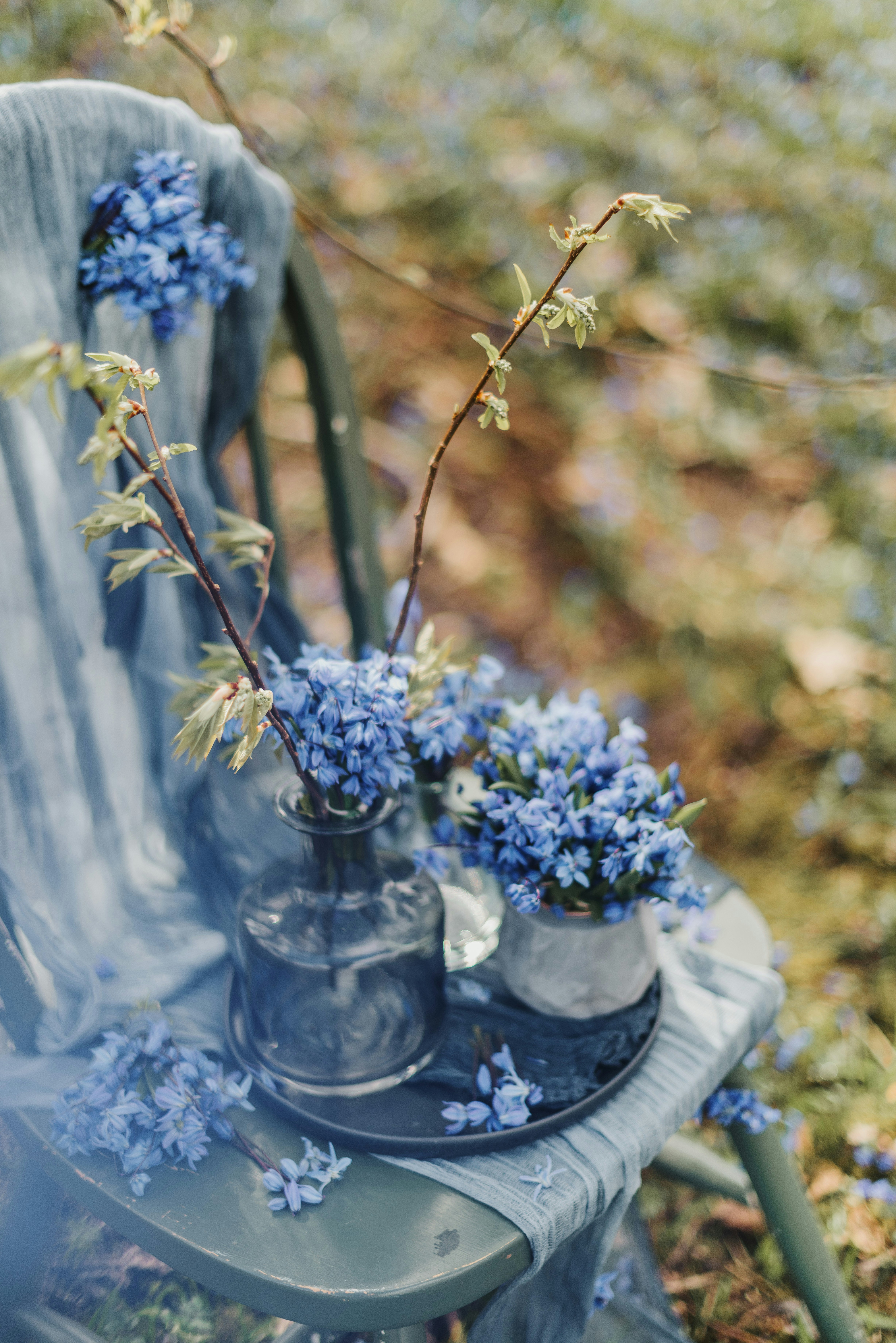 Photo by anitaaustvika