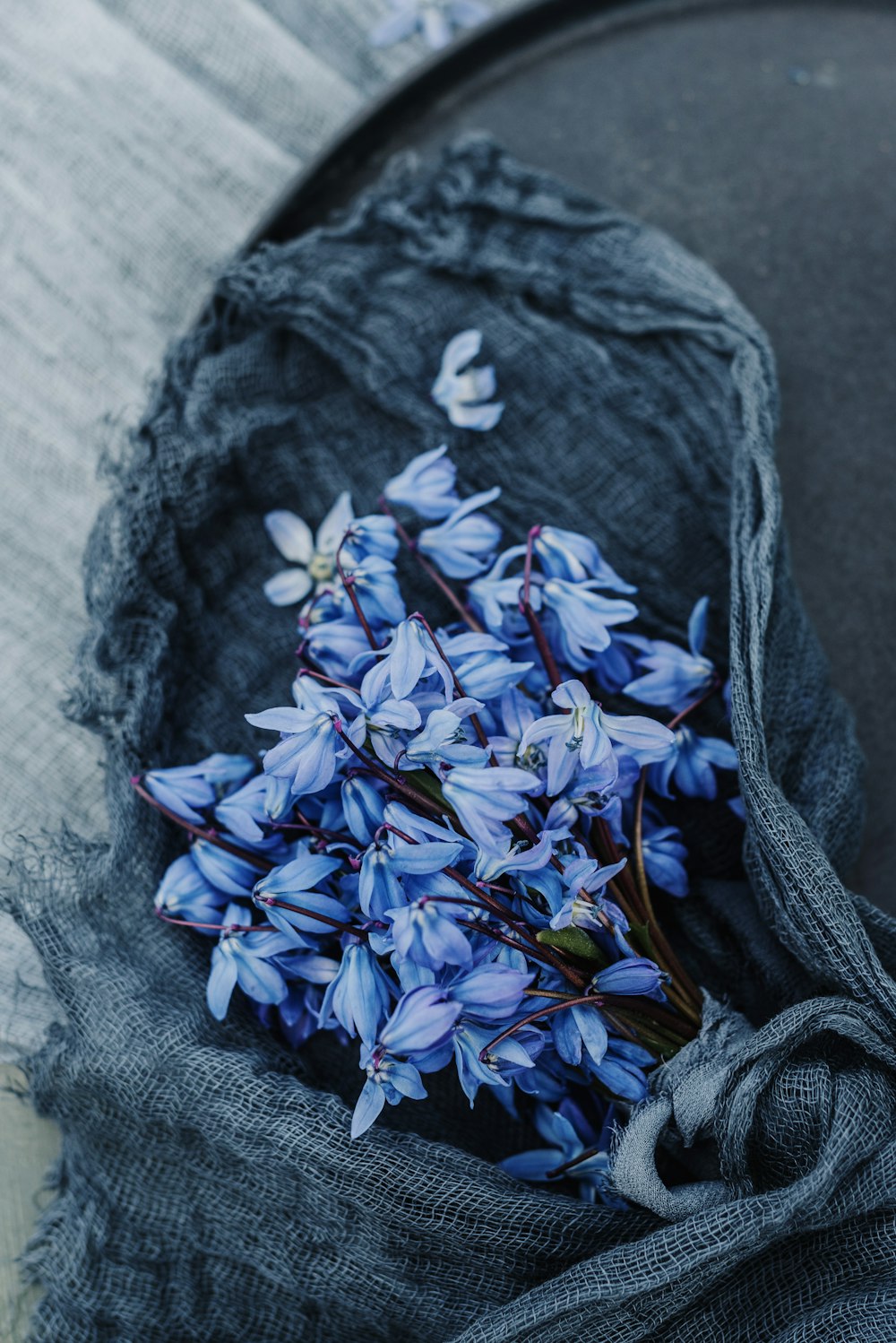 a bunch of blue flowers sitting in a bag