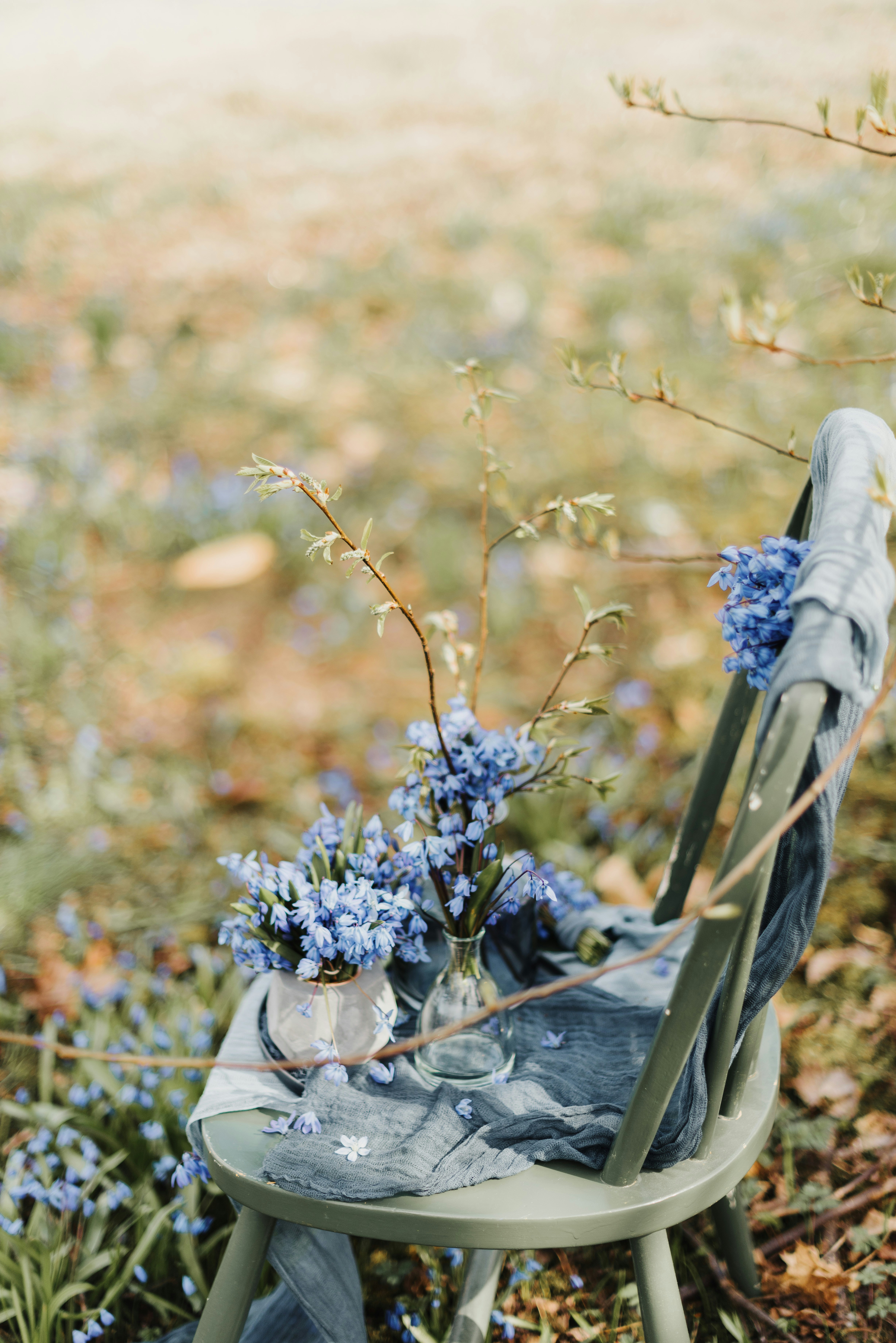 Photo by anitaaustvika