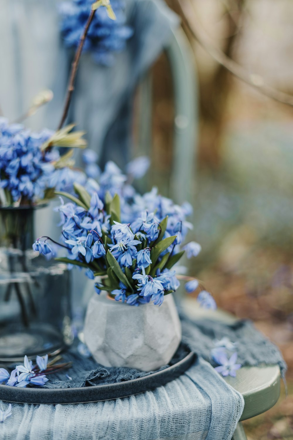 blue flowers are in vases on a table