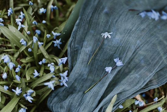 A serene portrait of Jess Me singing softly, surrounded by gentle blue leaves that ripple like sound waves.