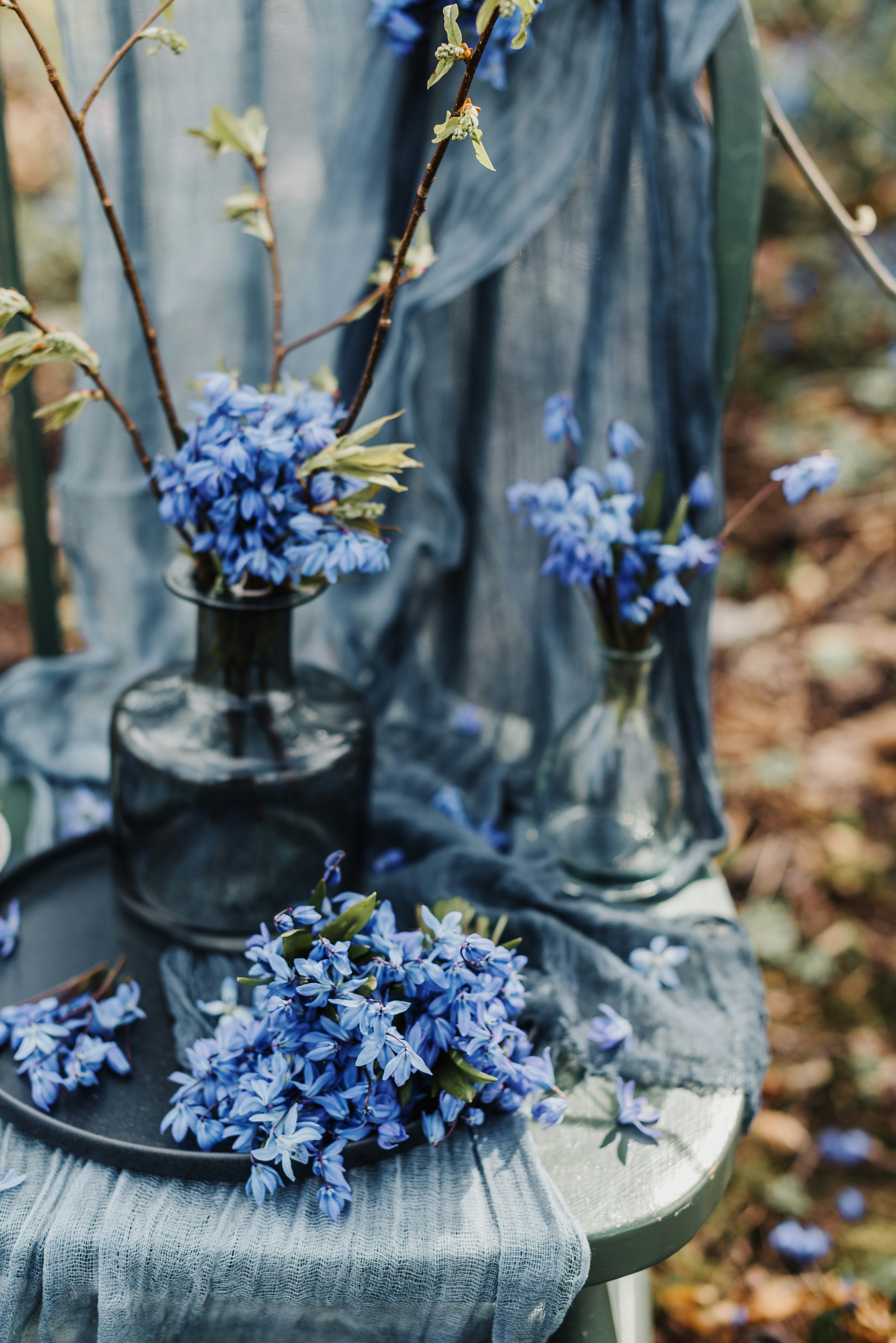 blue flowers are in vases on a chair