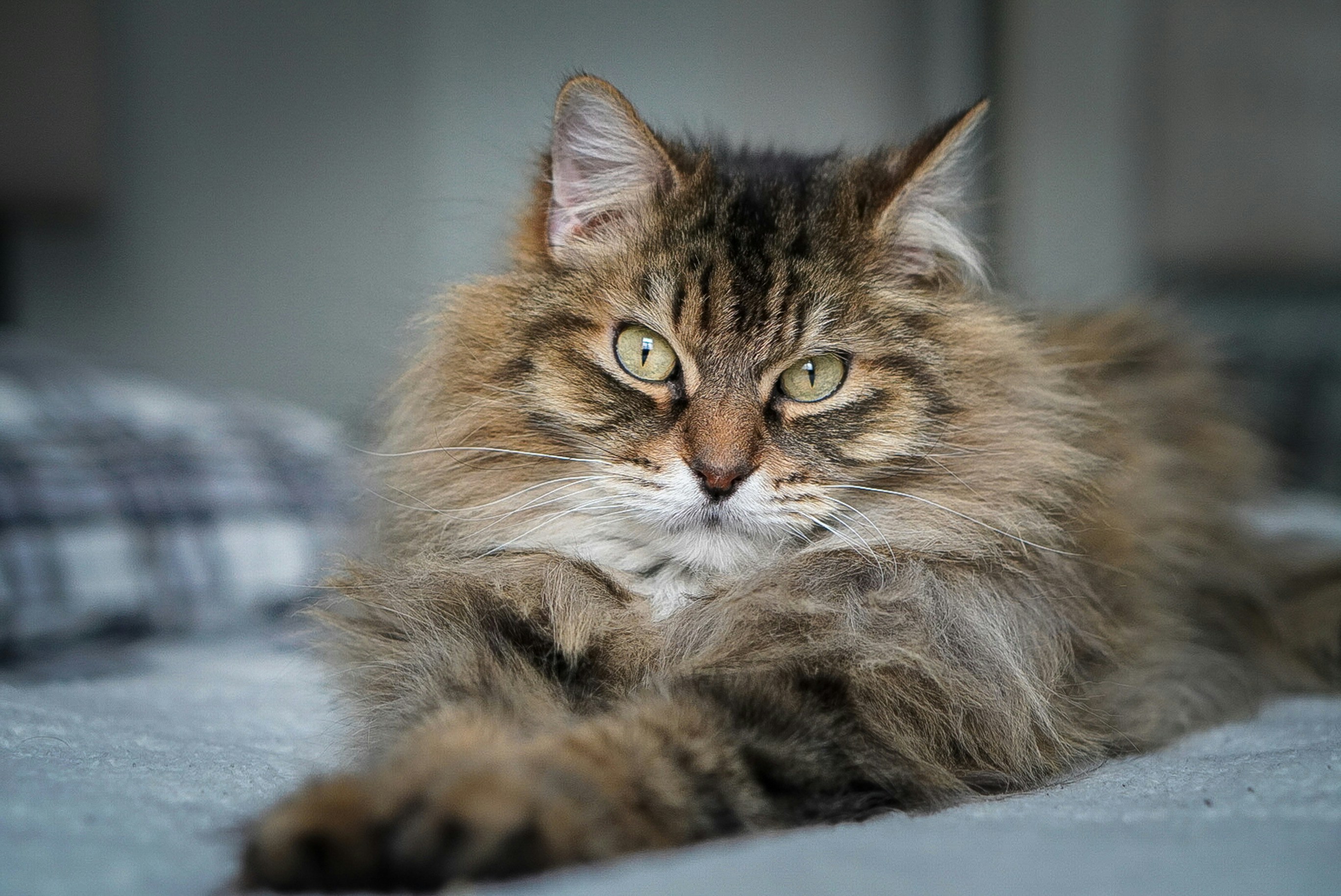 Photo by meri_vasilevski