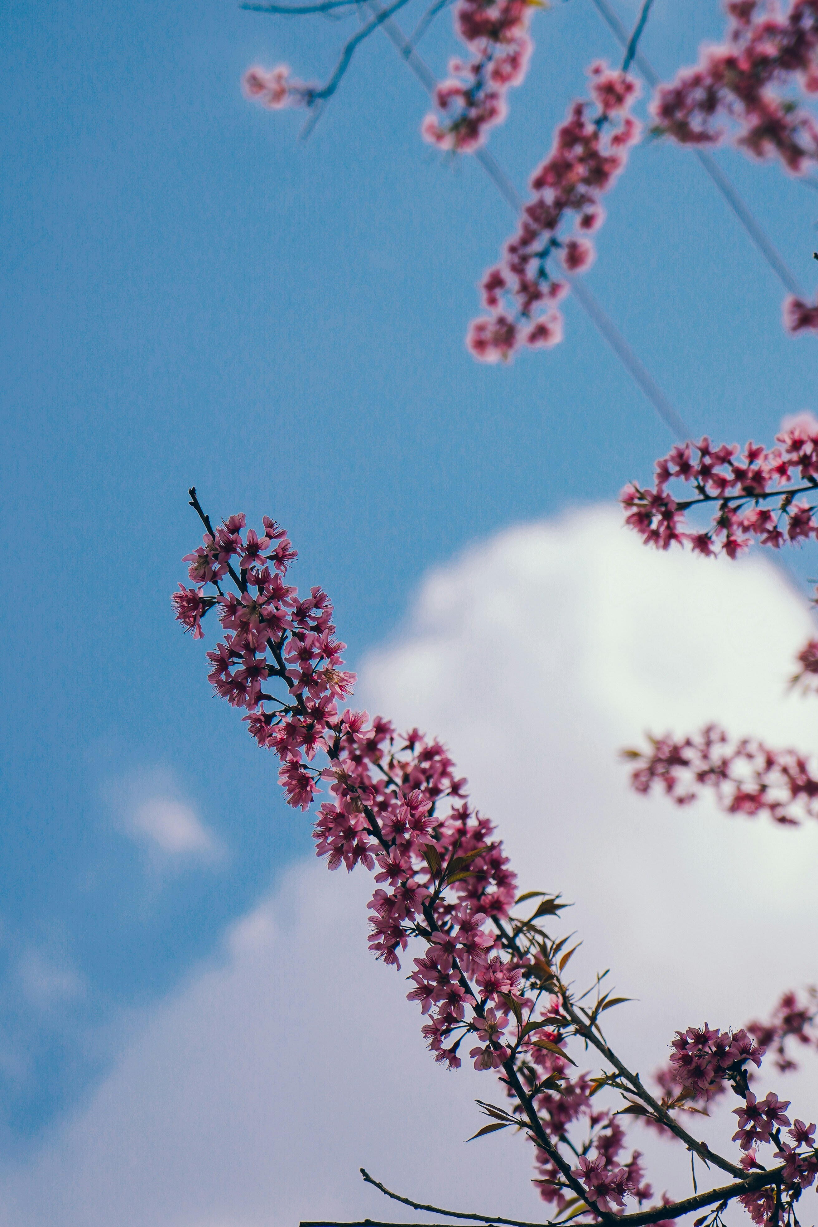 Photo by apertureblade