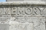 Carved stone surface with the word 'MEMORY' prominently etched in large, bold letters. The stone exhibits weathering and mossy growth, suggesting it has been exposed to the elements for an extended period of time.