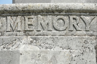Carved stone surface with the word 'MEMORY' prominently etched in large, bold letters. The stone exhibits weathering and mossy growth, suggesting it has been exposed to the elements for an extended period of time.