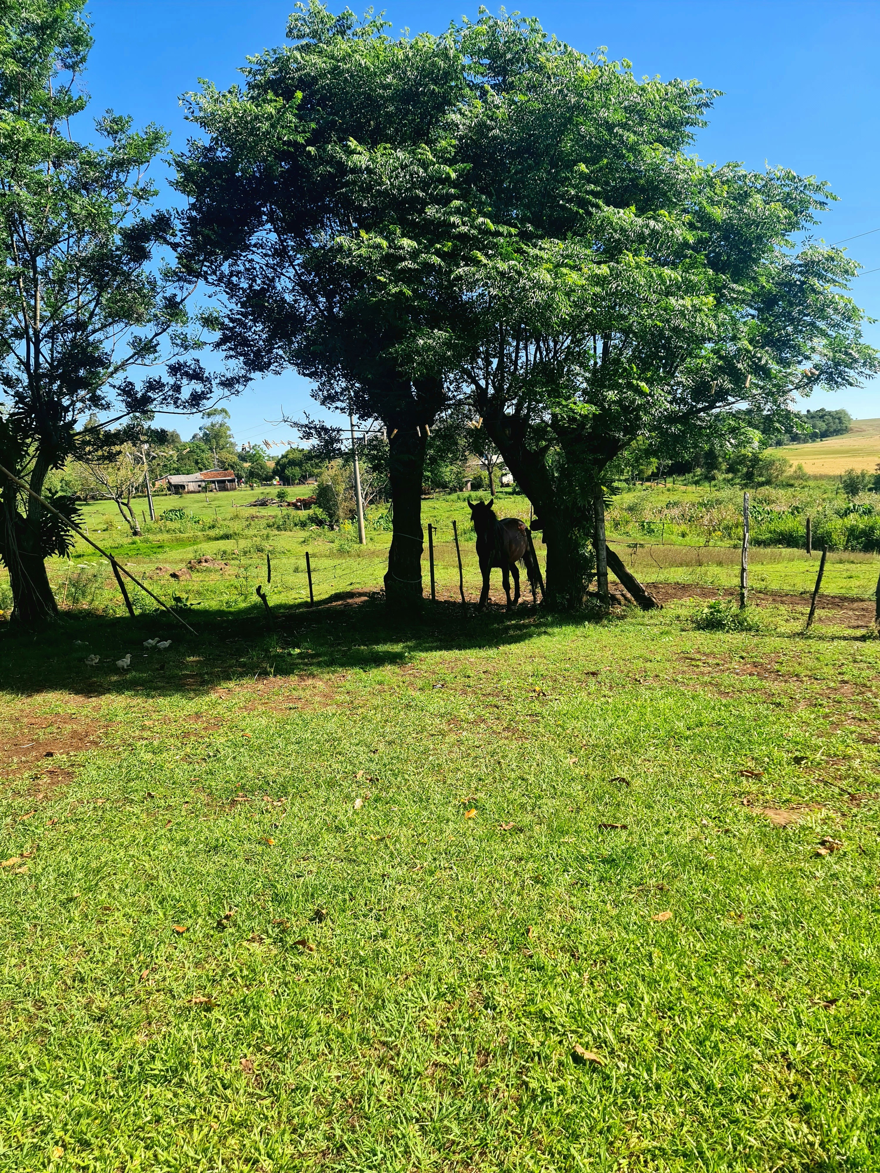 Photo by luanaramos20