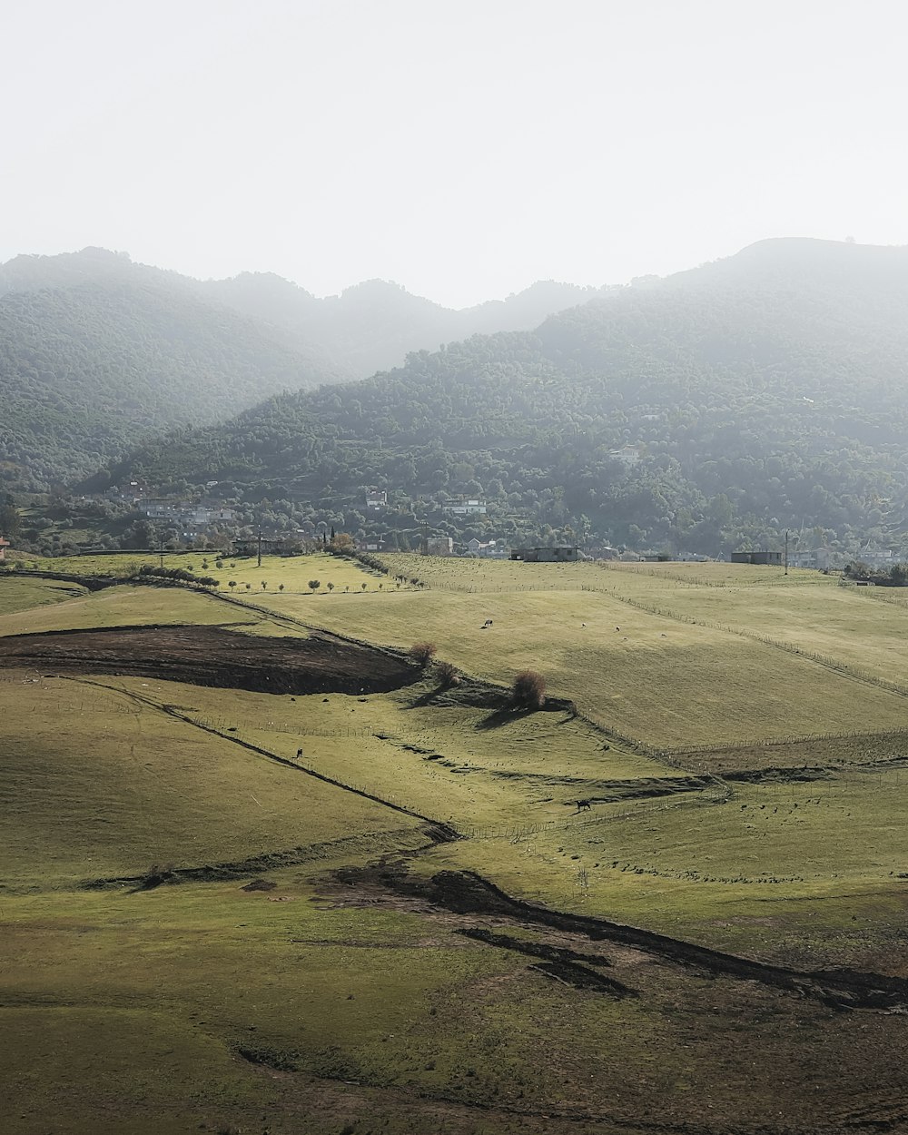 a large open field with mountains in the background