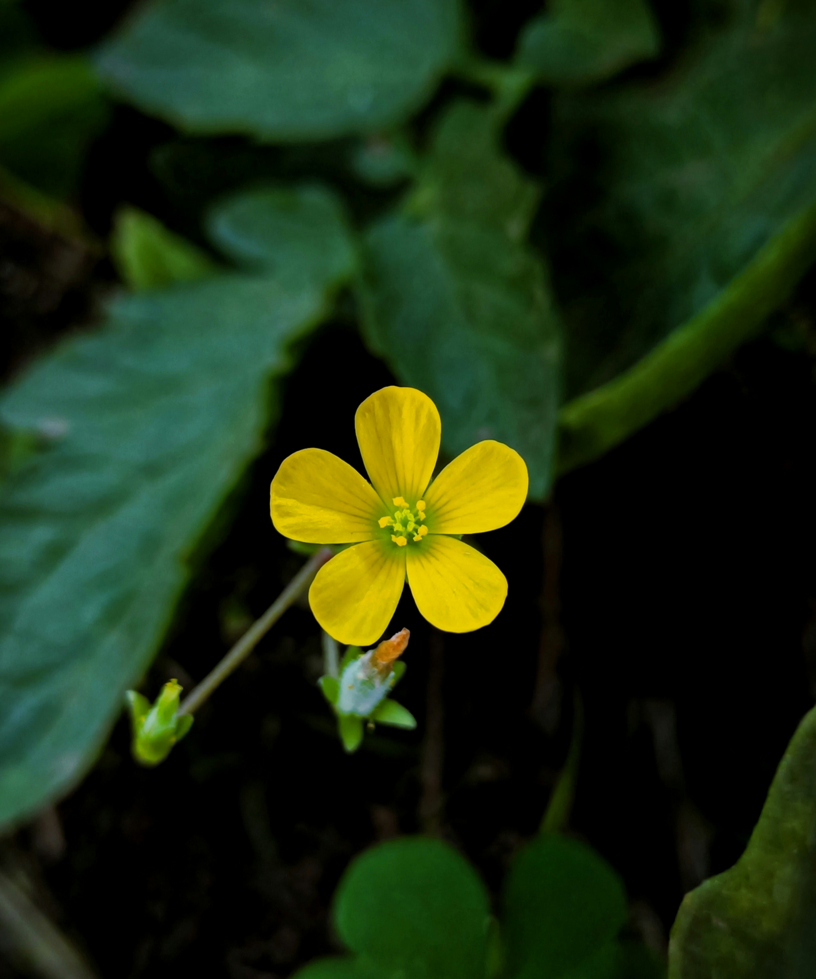 Photo by nikhilraghu0110