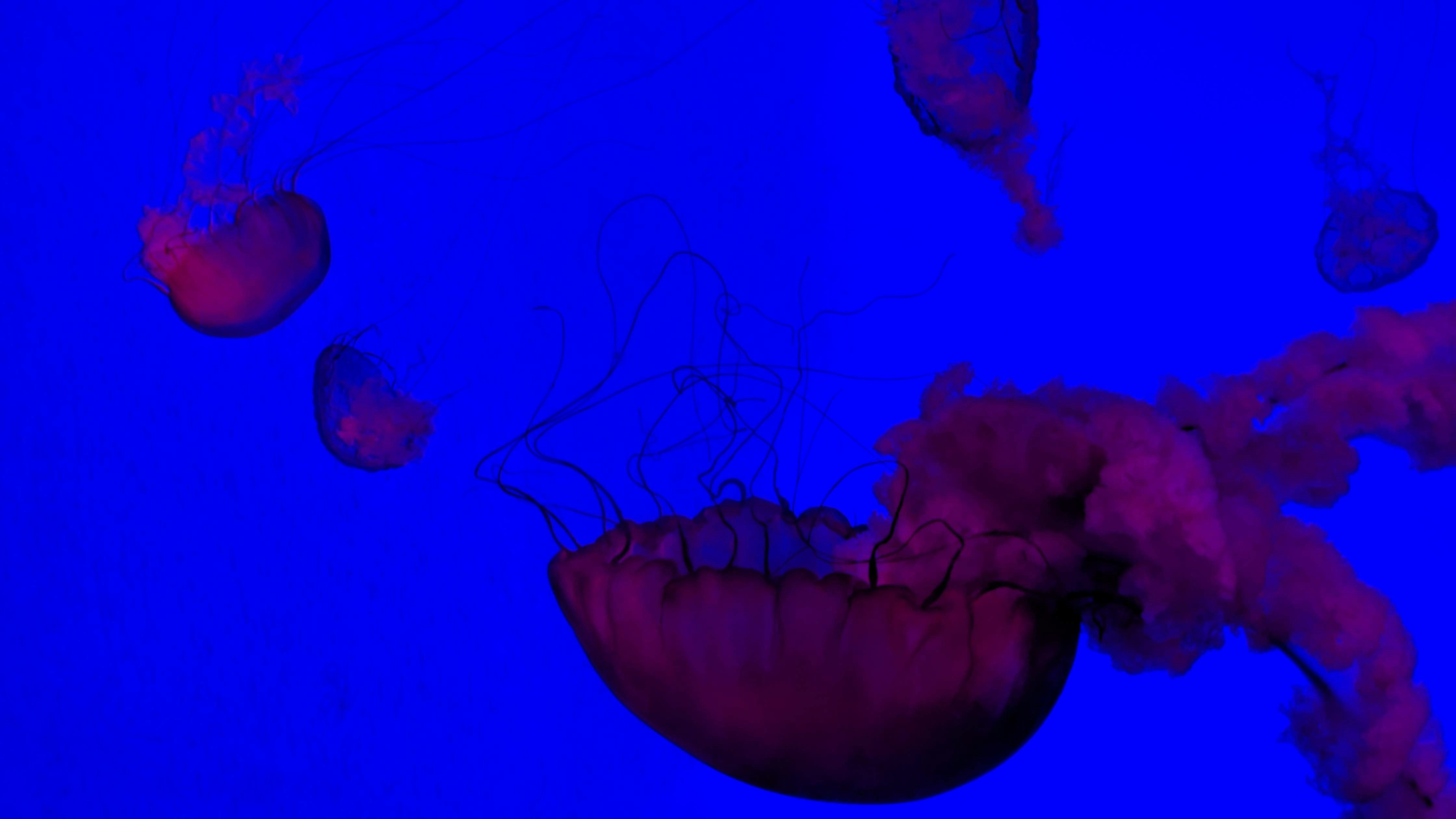 Photo by vishalmistry499