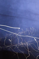 Dark blue night background with subtle reflections of antique mirrors.