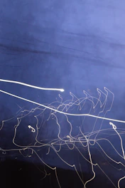 A clean, navy blue background with subtle moving light effects.