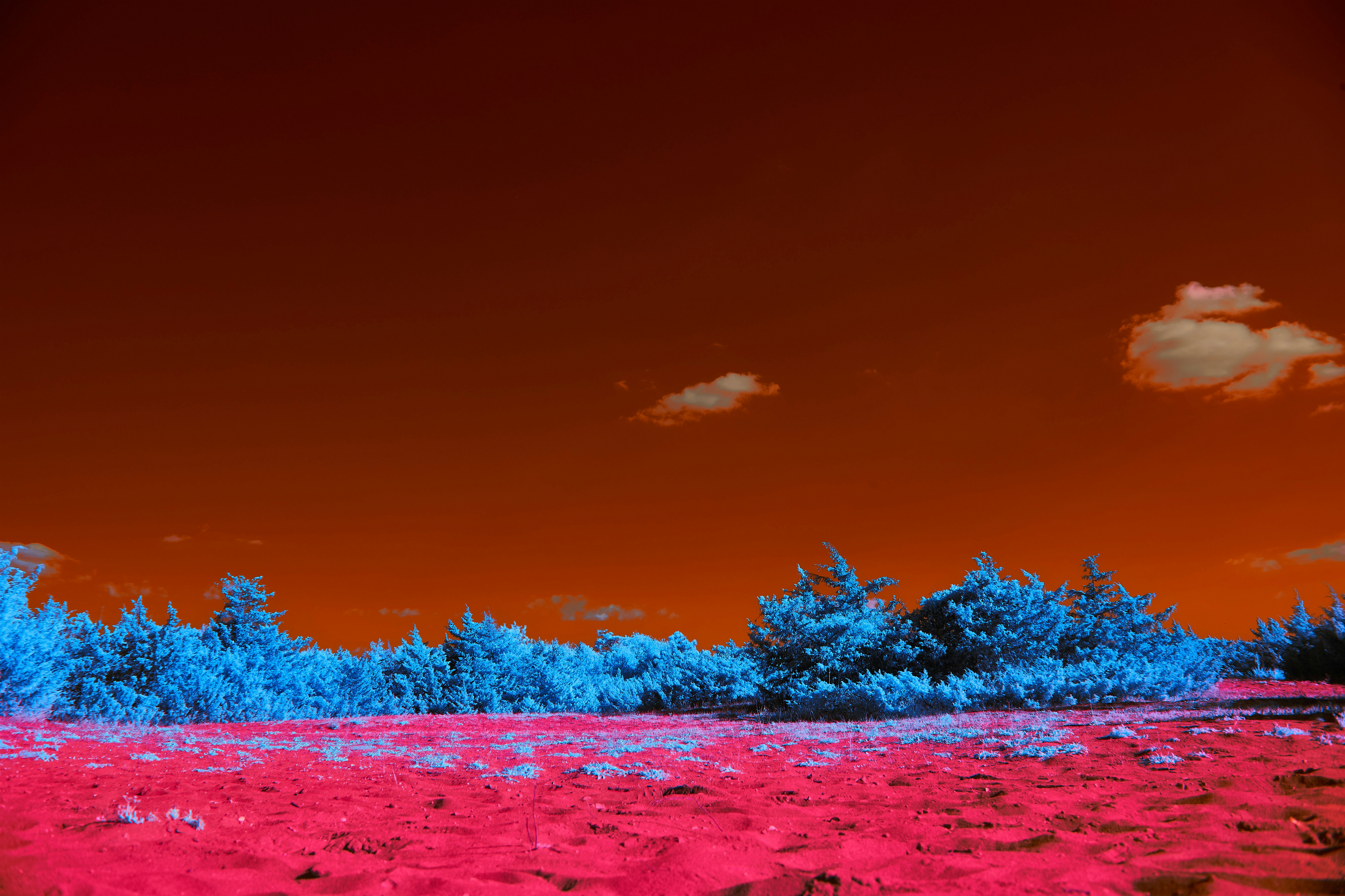 Photo by wolfgang_hasselmann