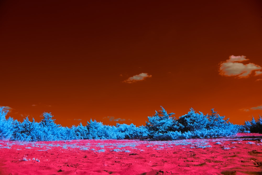 a red and blue photo of trees in a field