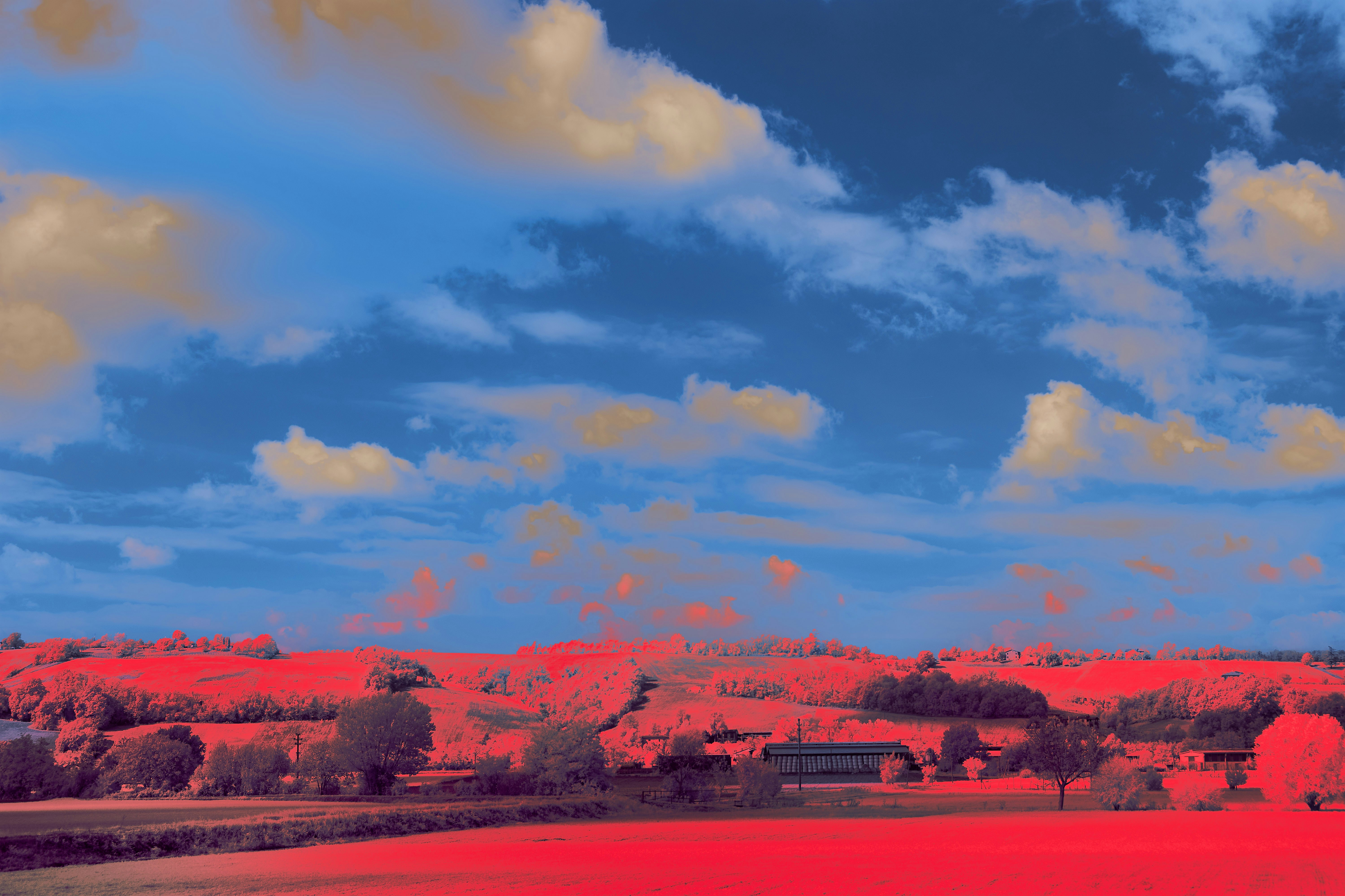 Photo by wolfgang_hasselmann