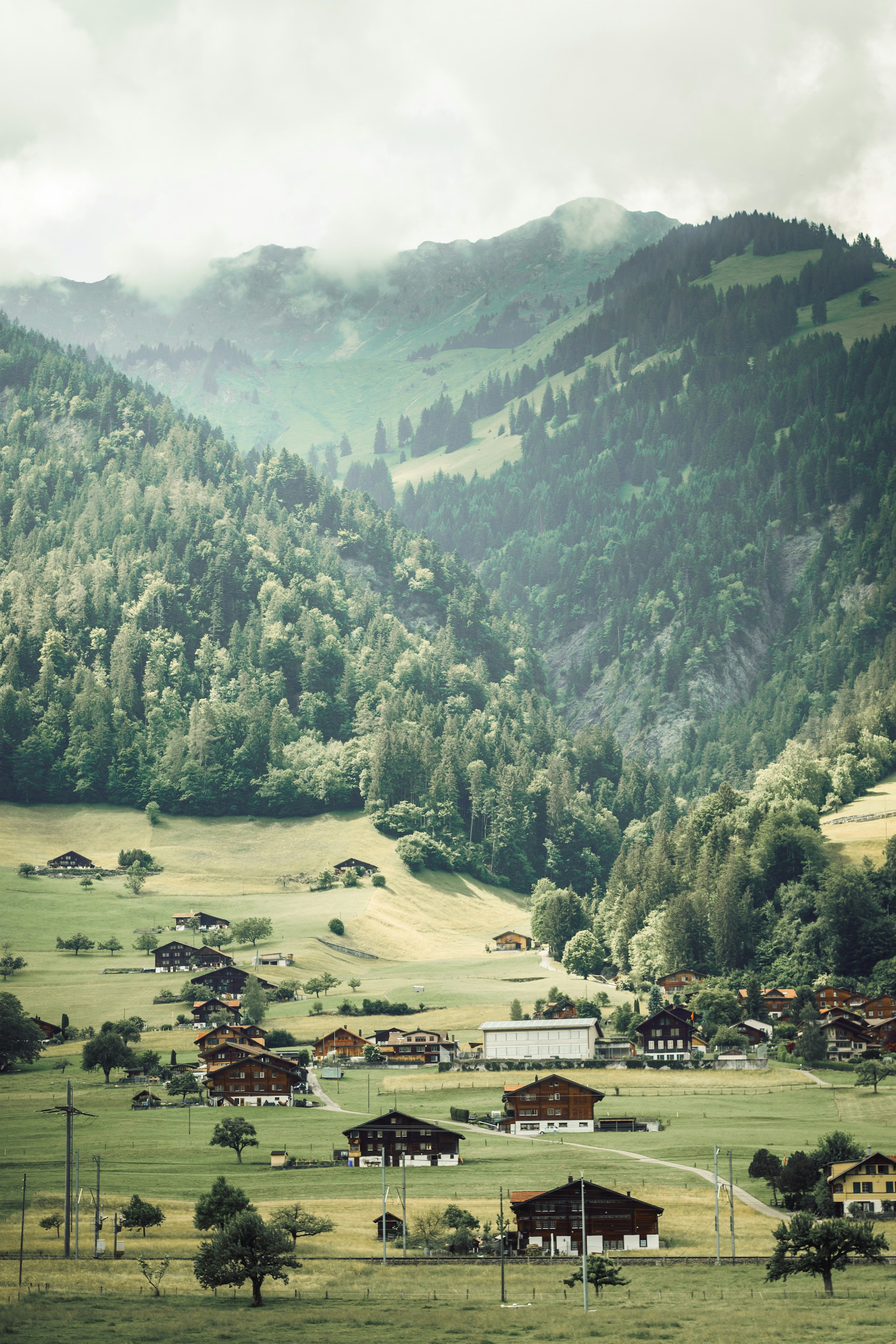 A serene landscape of pre-war Germany, symbolizing the contrast between peace and the impending war.