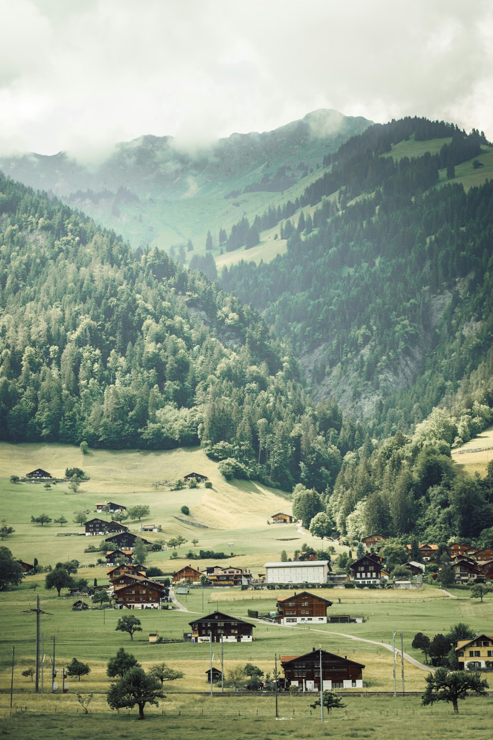 a scenic view of a valley with a mountain in the background