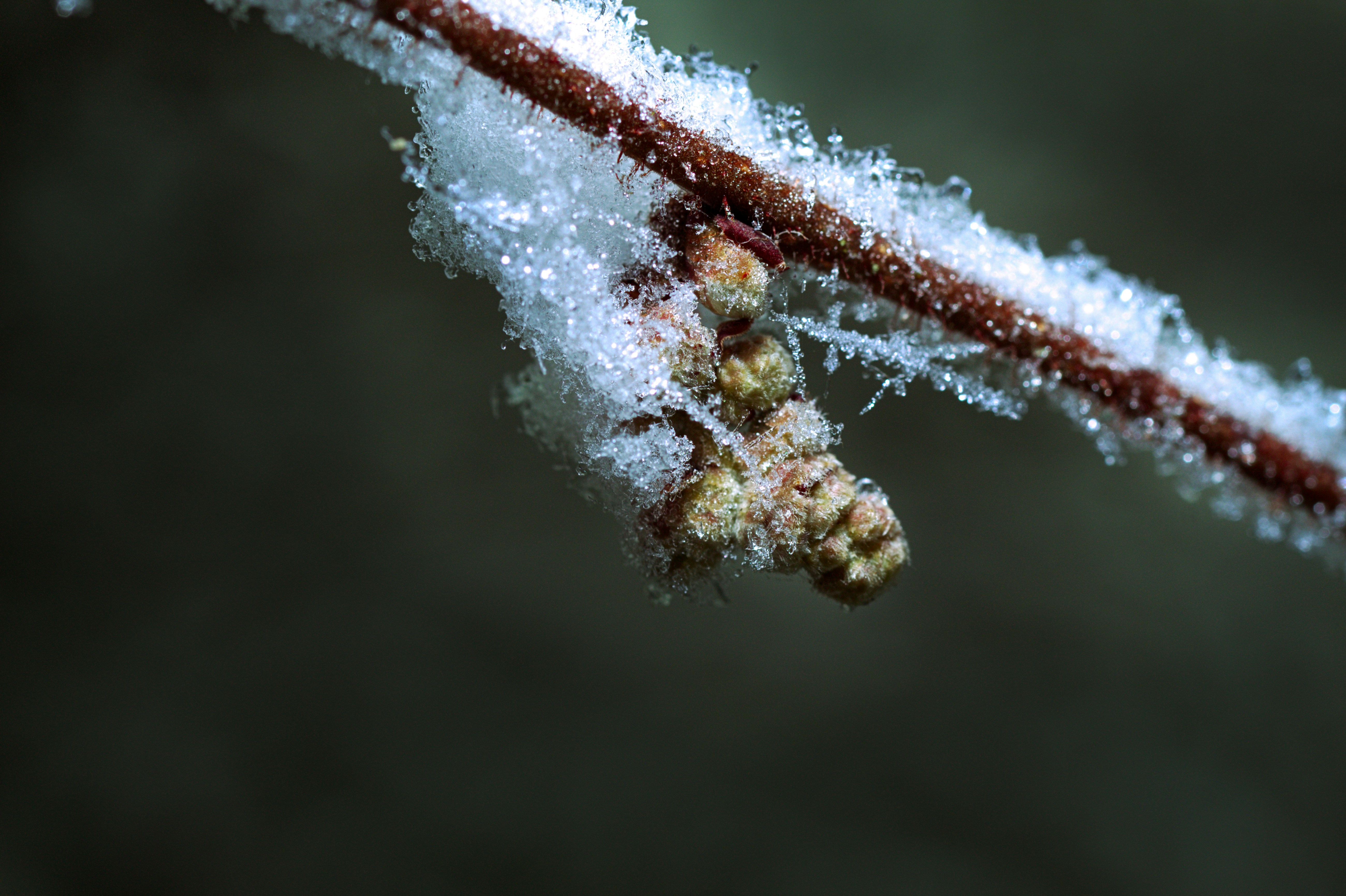 Photo by fidgetingferdie