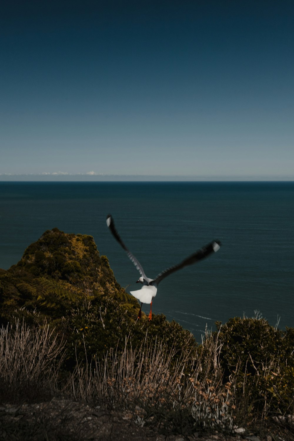 a baseball bat and a baseball on a hill near the ocean