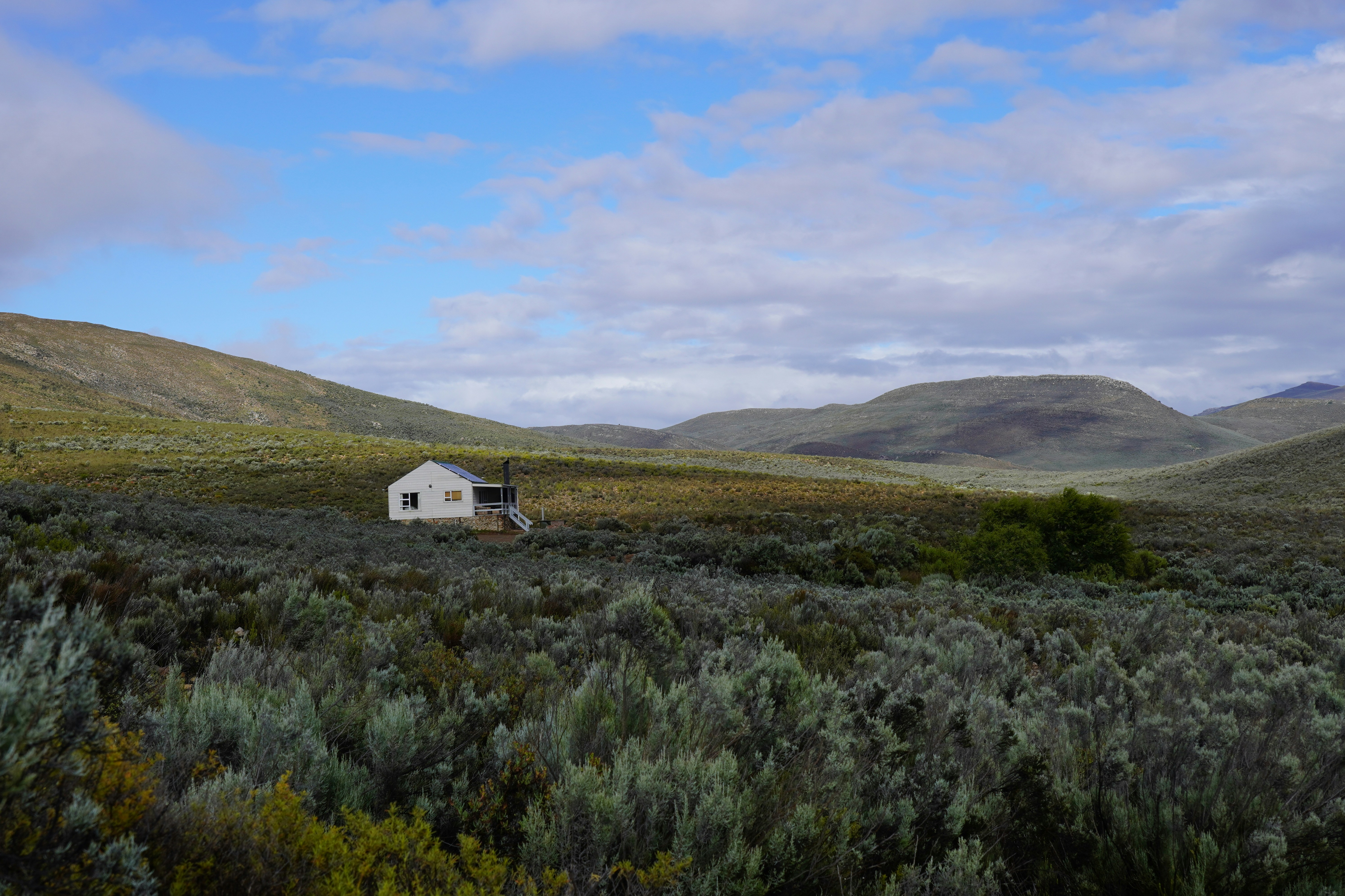 Fynbos Cottage