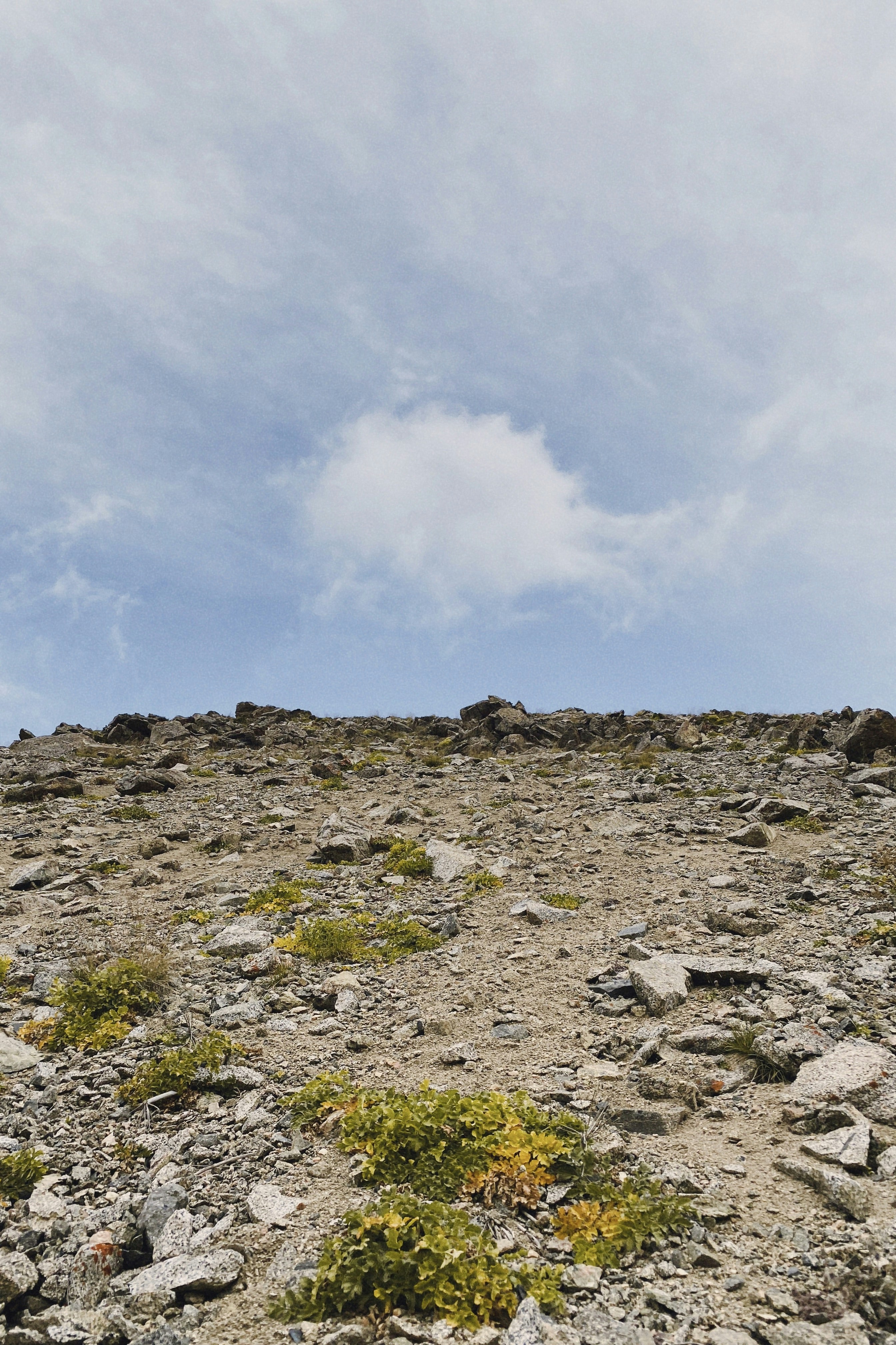 Photo by carpediem_ann