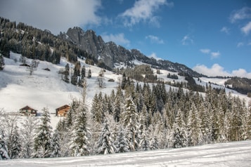 A picturesque snowy landscape features a mix of rolling hills and tall, rugged mountains. The pine trees are dusted with snow, creating a serene winter scene. Two cozy wooden cabins are nestled at the foot of the hills, surrounded by the tranquil beauty of nature. The sky is a bright blue with scattered clouds, adding to the crisp, chilly atmosphere.