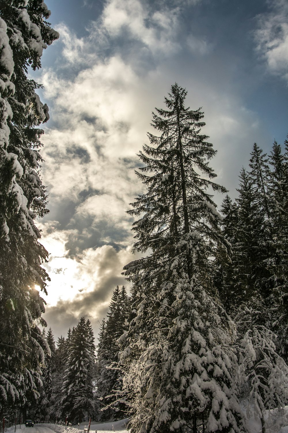 the sun is shining through the clouds over the snow covered trees