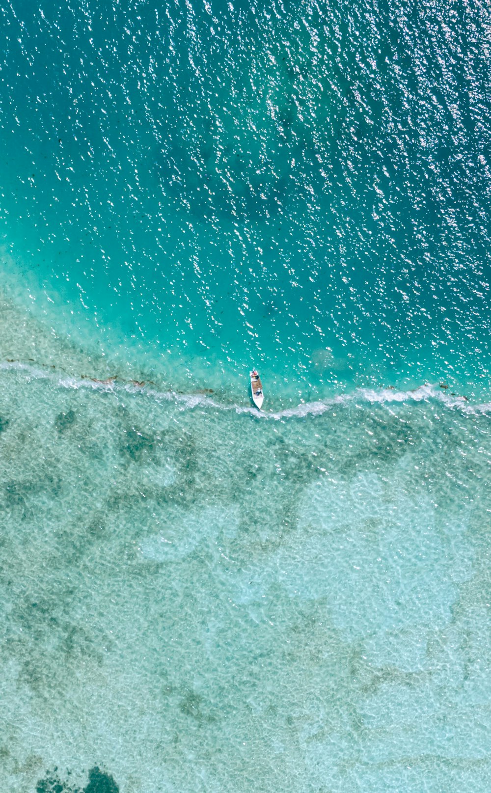 Una persona en una tabla de surf en el agua