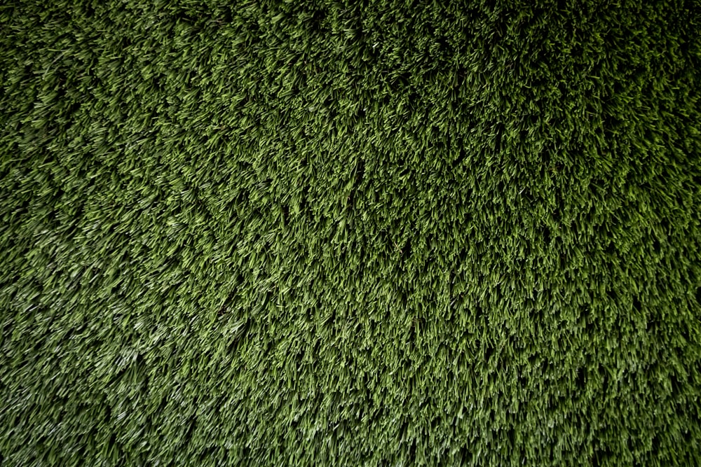 um close up de uma textura de grama verde