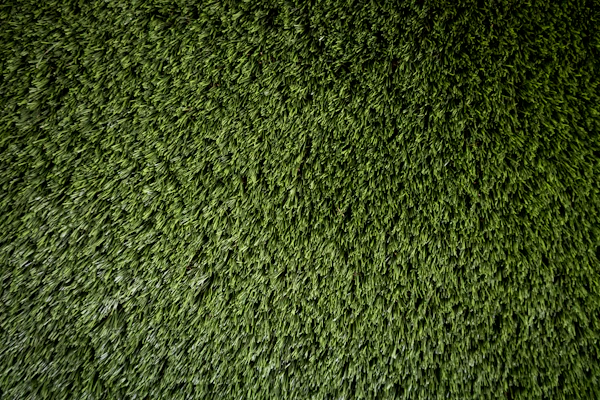 Lawn Care in Washington, DC