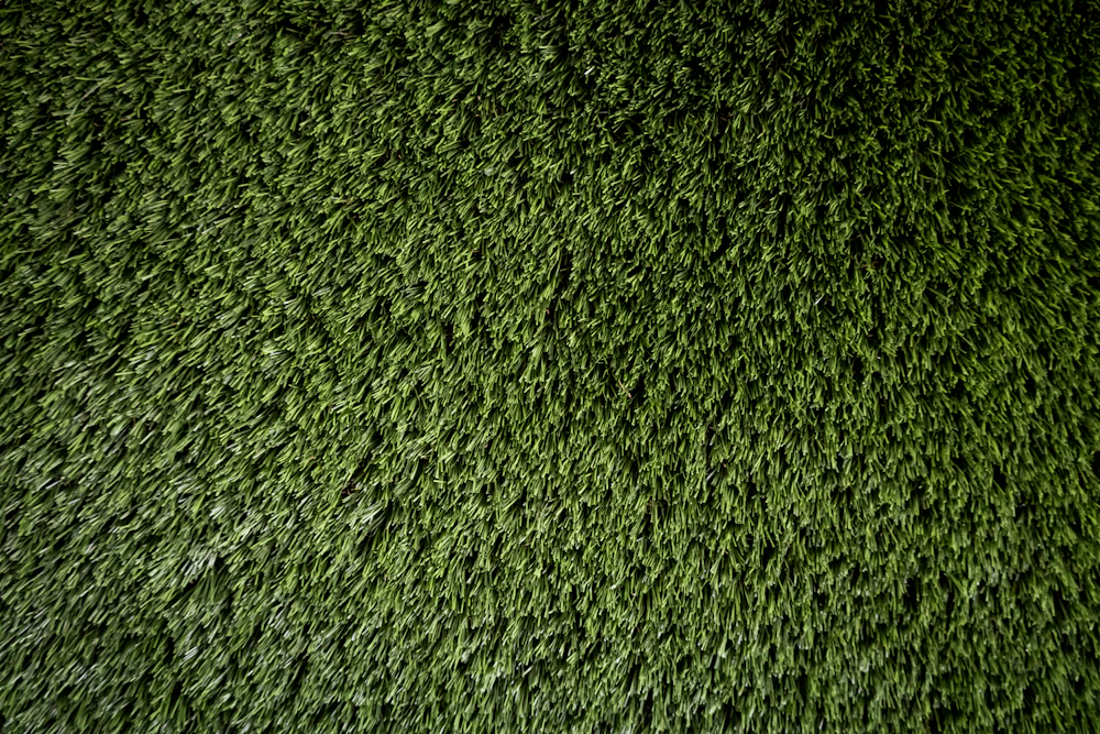 Sod & Turf Installation in Frisco, TX